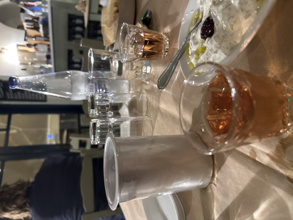 The image captures a dining table scene at a restaurant or cafe in Nea Erithrea, Greece, likely in the evening or at night given the artificial lighting. The table is covered with a light-colored material.
The primary subjects are the items on the table, arranged for a meal or drinks. A prominent white plate in the mid-ground holds a creamy, white dip, possibly tzatziki, garnished with a drizzle of olive oil and a dark olive or berry. A silver spoon rests in the dip. Scattered across the table are several glasses. Two of these glasses contain a rose-colored liquid, likely rosé wine, while others are clear and appear to be for water. A clear plastic water bottle with a blue cap and an unreadable blue label stands upright on the table. A tall, cylindrical, metallic or silver-colored container, possibly for ice or napkins, is also visible.
In the lower-left portion of the image, the back of a person's head and shoulders are visible. The individual has dark, wavy hair and is wearing a dark-colored top, seated at the table. The background shows reflections and indistinct elements, suggesting an indoor setting with other patrons or restaurant fixtures. The overall activity depicted is a relaxed meal or social gathering. No legible text is visible on any of the objects.