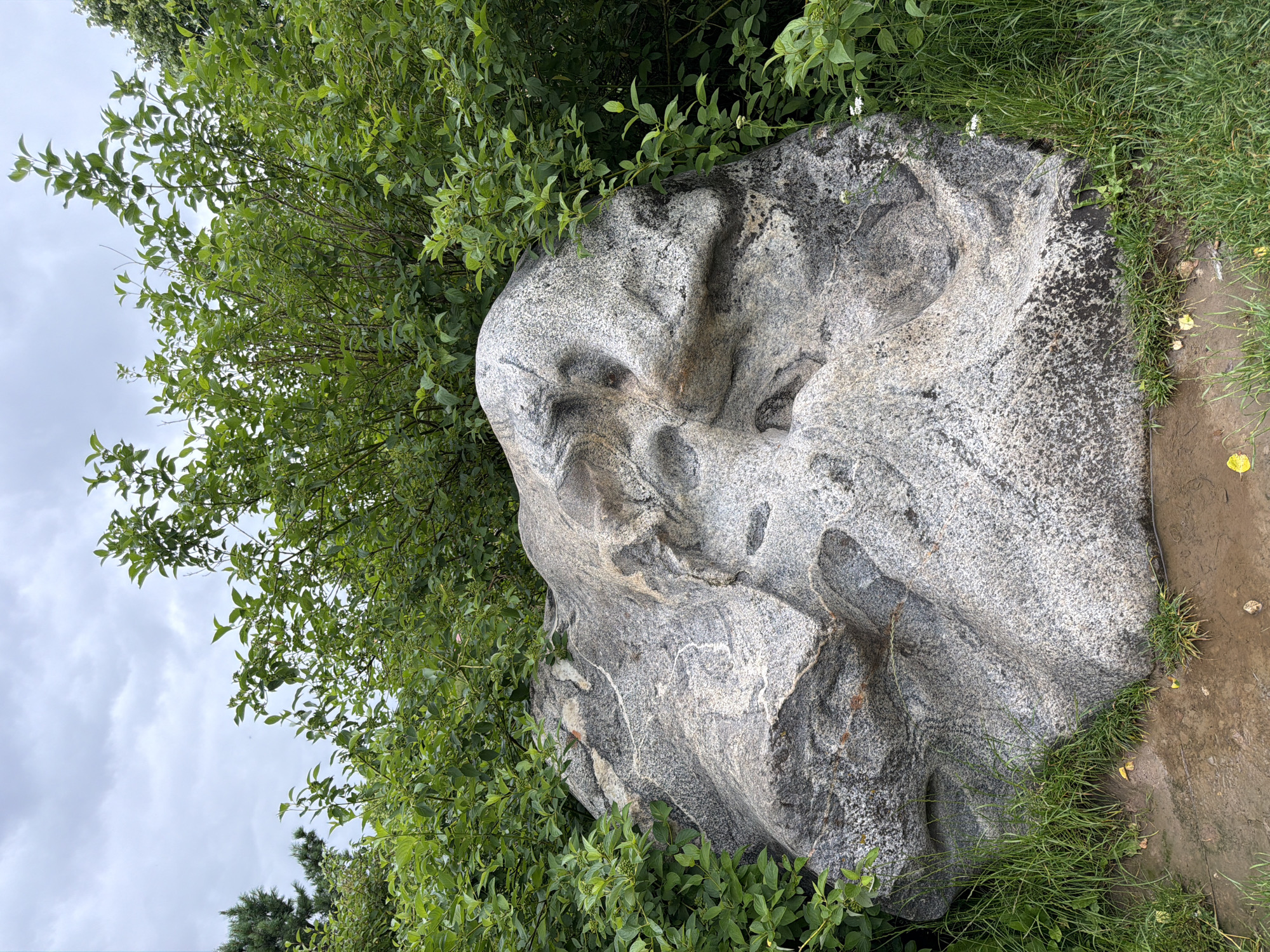 In Akatovo, Russia, a large, grey, granite boulder is situated amidst lush green foliage. The boulder, roughly oval in shape, is textured with lighter and darker speckles, and exhibits several depressions and crevices. It is partially surrounded by dense green bushes and grasses, with a hint of a gravel path in the foreground. The sky above is overcast with a grey, cloudy texture.