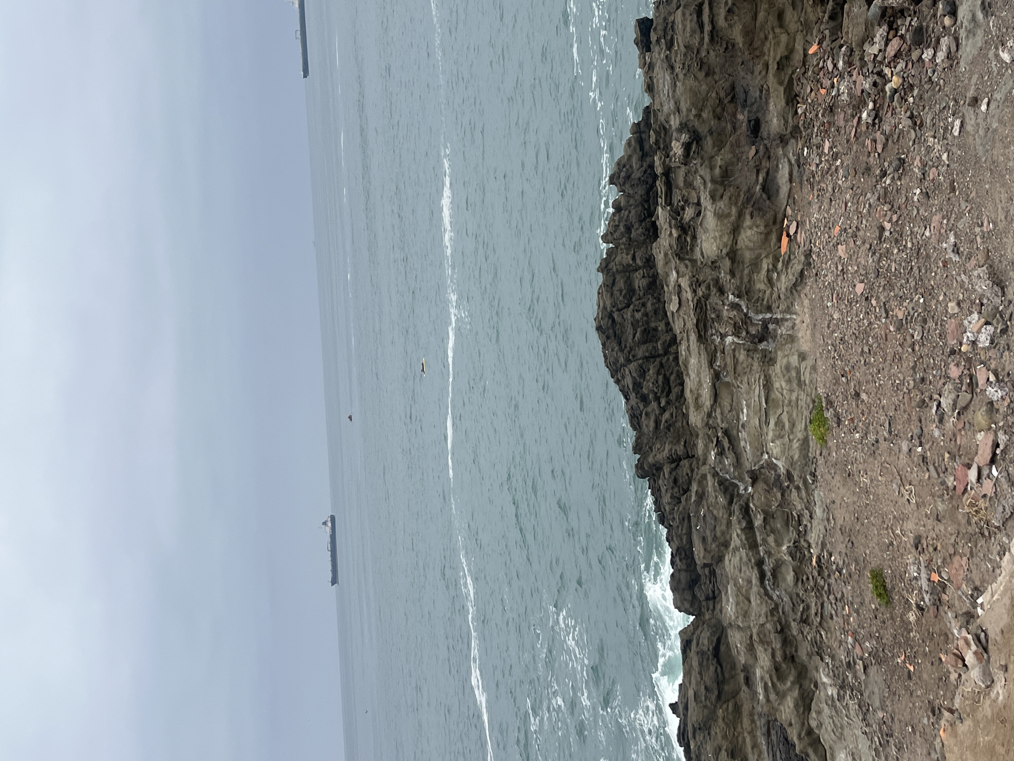 The image depicts a coastal scene in Arica, Chile, with a rocky cliff in the foreground meeting the ocean. The ocean appears gray and choppy with whitecaps. In the distance, ships are visible against a gray sky. The cliff is dark gray with patches of sparse vegetation and scattered reddish-brown debris. The scene appears overcast.