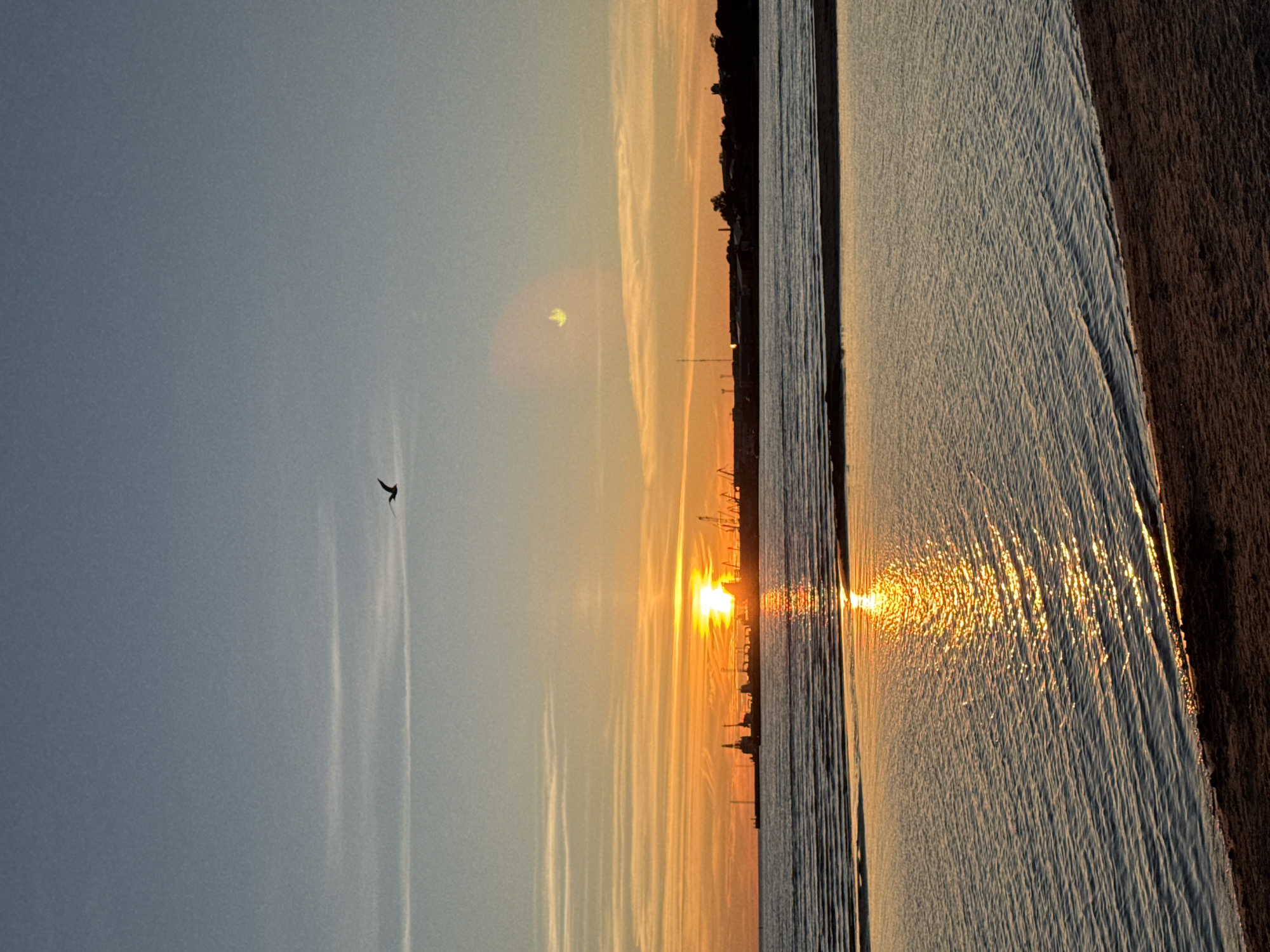 The image depicts a sunset over the sea with a city skyline in the background. The sun is setting on the horizon, casting a warm orange glow across the sky and reflecting on the water. A silhouette of a bird is visible flying in the sky. The skyline features industrial structures and cranes, suggesting a port or industrial area. The foreground shows a sandy beach and the calm sea with gentle ripples. The image is likely taken from the coast of Tallinn, Estonia, given the typical skyline features of the city's port area. There are no people or animals other than the distant bird visible in the image. The environment is a coastal scene at dusk.