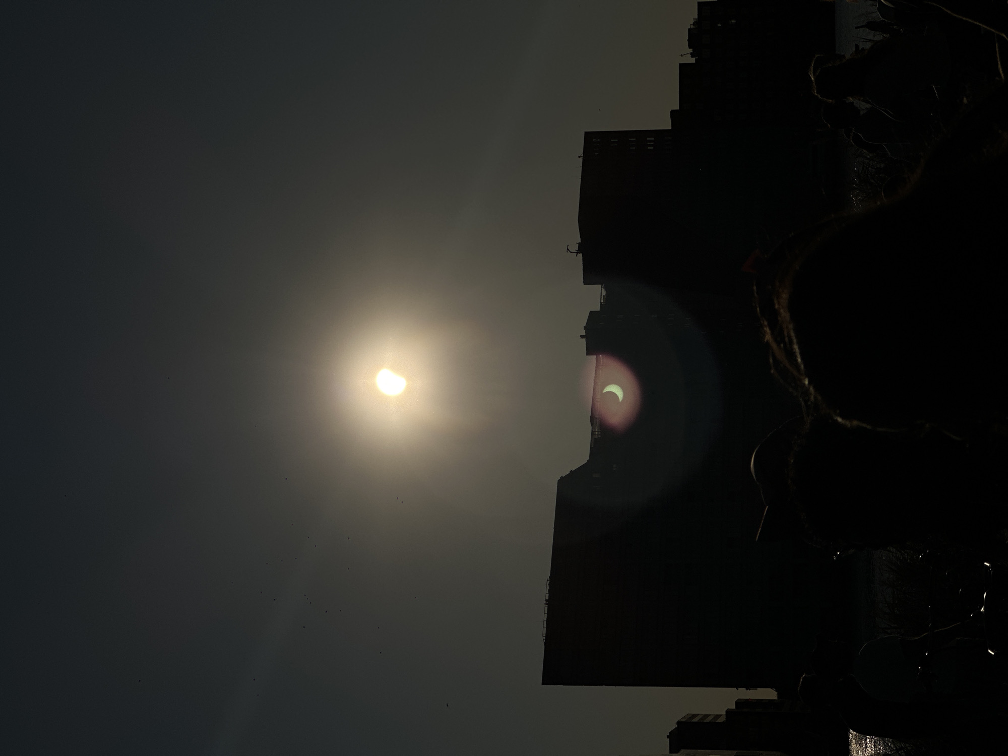 The image captures a partial solar eclipse viewed from a silhouetted crowd gathered by a body of water, with buildings forming a dark skyline in the background. The sun, partially obscured by the moon, creates a distinct crescent shape, casting a bright glare with lens flare that extends across the frame. Several birds are visible as small dark specks in the sky. The foreground is dominated by the silhouettes of people, some with visible hairstyles, suggesting they are looking towards the sky. The water reflects the ambient light. The buildings in the background are dark, monolithic structures, indicating an urban environment. The scene has a somber and awe-inspiring atmosphere due to the rare celestial event and the silhouetted figures. The location is not specified within the image, and there are no discernible landmarks to pinpoint it to Amsterdam, Netherlands.