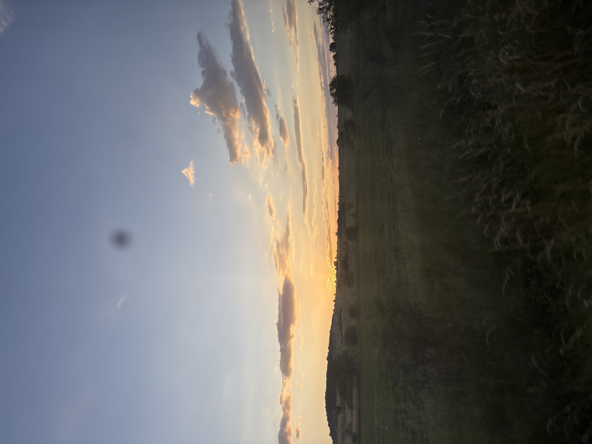 The image depicts a rural landscape at sunset in Strelcha, Bulgaria. The sky transitions from light blue at the zenith to warm orange and yellow hues near the horizon, indicative of late afternoon or early evening. Scattered clouds are present, primarily stratocumulus and cumulus formations, illuminated with orange, pink, and grey tones by the setting sun. A prominent, dark, circular artifact, consistent with a lens or sensor smudge, is visible in the upper central-right portion of the sky.
The sun is positioned low on the left side of the horizon, largely obscured by a dark, undulating hill, casting strong golden light across the scene. Below the horizon, a series of green fields extends across the midground, punctuated by scattered dark green bushes and trees that appear as silhouettes against the brighter sky and sunlit areas. The immediate foreground consists of dense, dark vegetation, primarily tall grasses and indeterminate plant matter, appearing somewhat blurred, suggesting either motion or a shallow depth of field. No human subjects, animals, or explicit actions are discernible within the frame. The overall environment suggests an open, unpopulated natural setting.