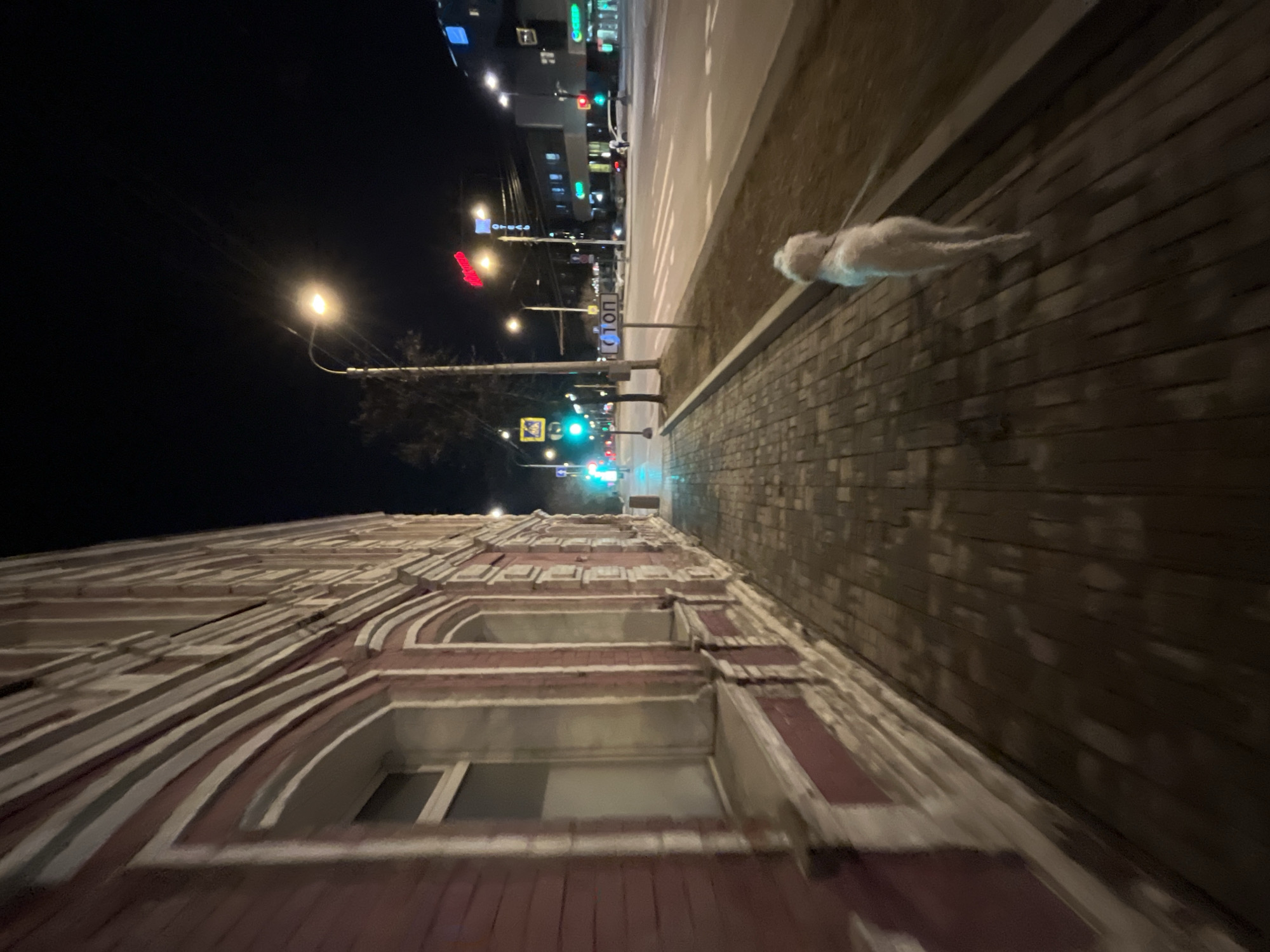 A ground-level photograph, taken at night, displays a street scene. An older building, made of red brick and light stone, is visible. The building has decorative stone features. The foreground consists of a sidewalk made of dark brick, running parallel to a road. On the sidewalk, a dog of light coloring appears to be in motion, as if walking or running. Beyond the sidewalk and road, urban structures are visible. Streetlights illuminate the scene, with other building lights further down the road. A dark sky completes the backdrop.
The scene is in Unknown, Unknown.
