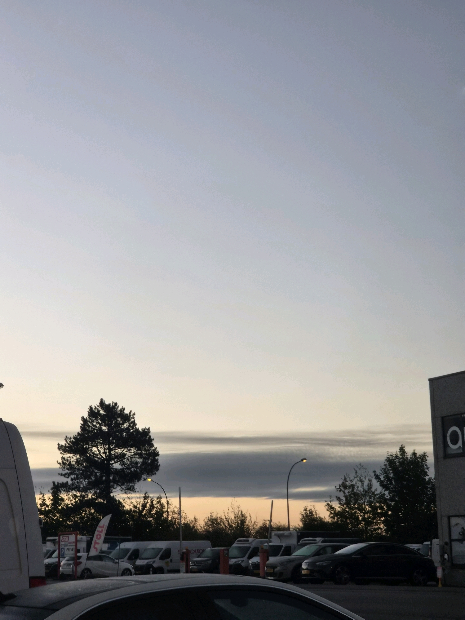 The image depicts an outdoor scene at dusk, possibly a parking lot or an industrial area in Leudelange, Luxembourg. The sky is a soft gradient of pale blue to a muted orange, with horizontal bands of clouds. In the foreground, a portion of a white van is visible on the left, and the roof of a dark car is in the lower center.
A line of vehicles, including several white vans and passenger cars, are parked. A tall, dark green coniferous tree stands prominently in the middle ground, silhouetted against the sky. Behind the tree and extending to the right are more trees and vegetation. To the far right, a section of a modern building with a grey textured facade is visible, with a large dark circular logo or sign partially visible on its upper section. A streetlamp with a yellow light is positioned behind the coniferous tree. The ground appears to be paved. There are no people visible in the image.