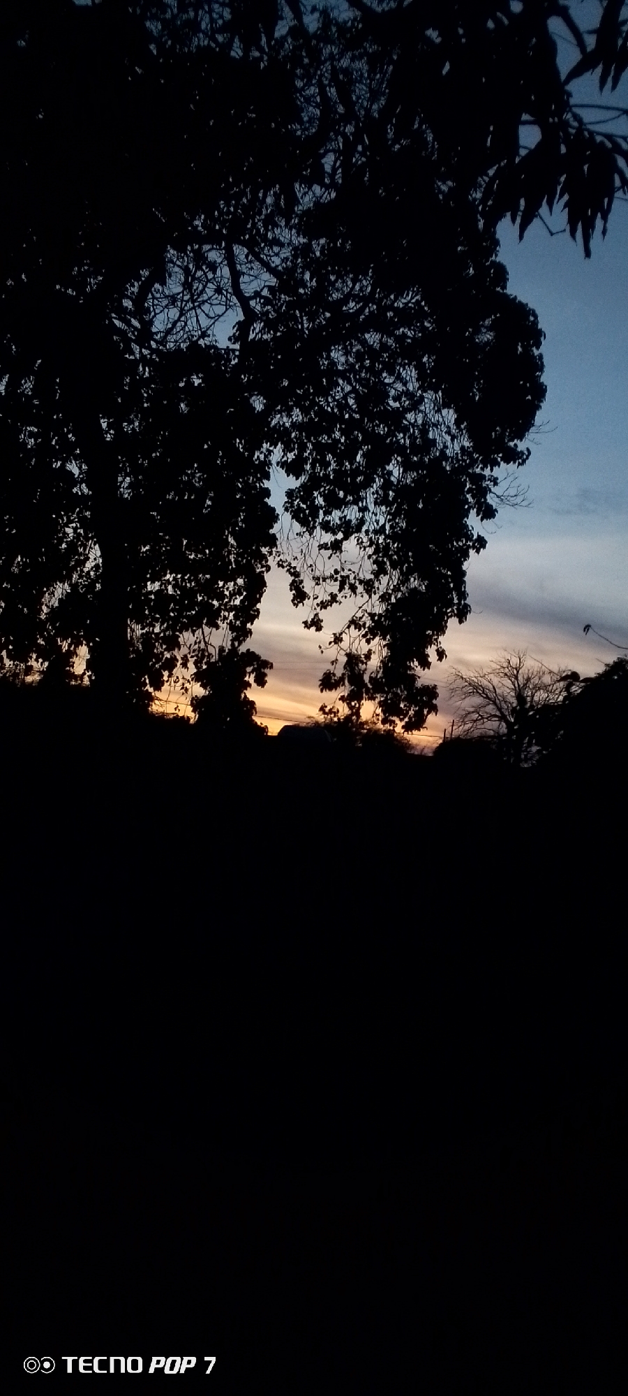 The image is a low-light shot capturing a scene at dusk or dawn. The foreground is dominated by a large, dark silhouette of trees with dense foliage. The sky is visible through gaps in the trees, showing a gradient of colors, transitioning from blue at the top to yellow and orange near the horizon. The horizon appears to be partially obscured by dark shapes of trees or hills. The camera used to take the photo is a TECNO POP 7. The location is presumed to be Altagracia, Venezuela. There are no people visible in the image.