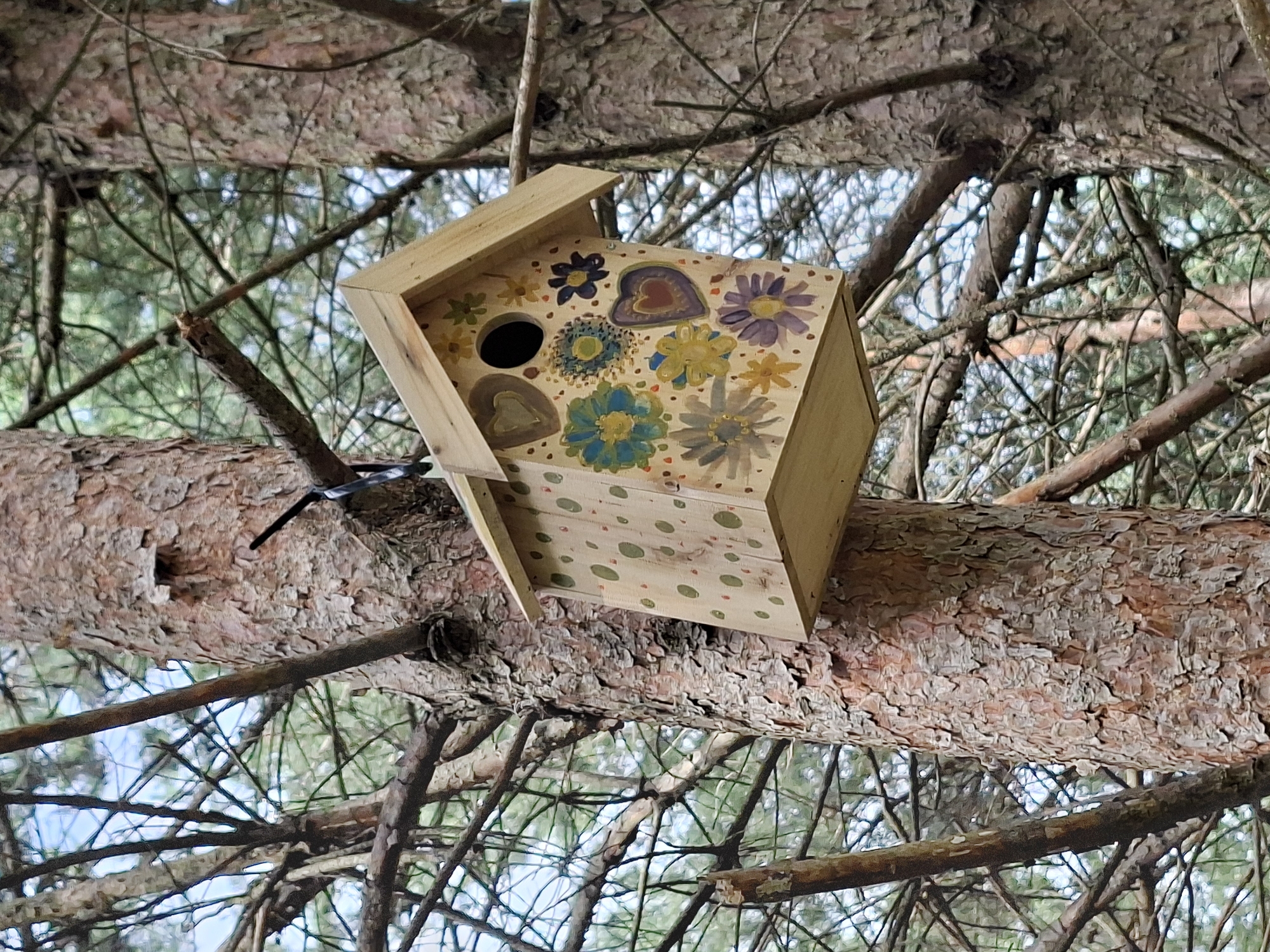 A decorative, handcrafted wooden birdhouse is mounted on a pine tree amidst a forest setting. The birdhouse is adorned with painted floral designs and heart shapes in various colors, including yellow, blue, purple, and red. A circular opening is visible on one side, serving as the entrance for birds. The birdhouse is suspended from a branch by a black wire or string. The surrounding environment consists of pine trees with rough bark and dense foliage, indicating an outdoor, natural setting. The sky is partially visible through the branches, suggesting it is daytime. The location is identified as Alytus, Lithuania. There are no people or animals present in the image.