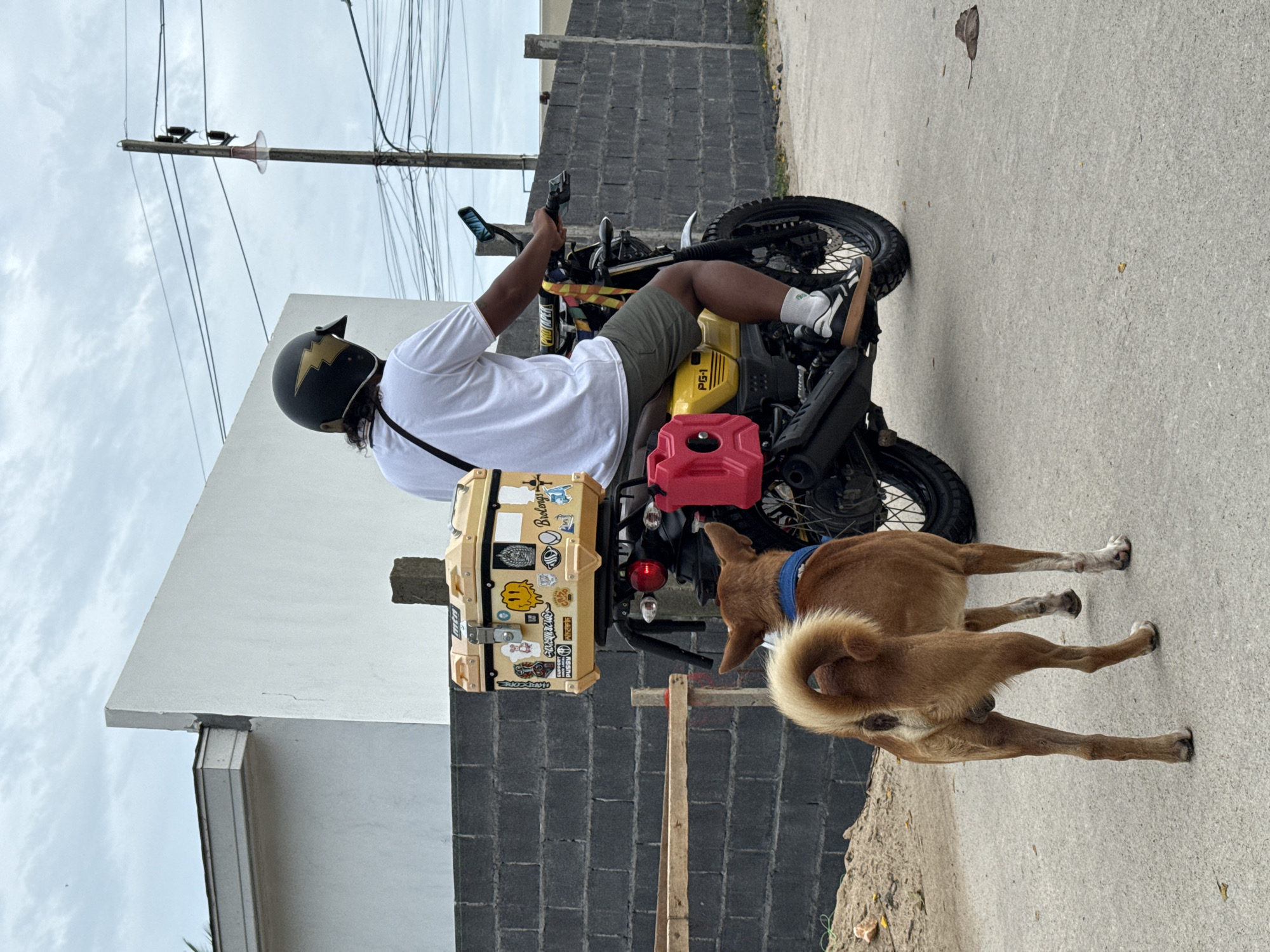 A medium-sized, brown dog with a blue collar stands on a paved road, facing away from the camera, towards a person riding a yellow motorcycle. The rider, wearing a white t-shirt, khaki shorts, a black helmet with a gold lightning bolt design, and black and white sneakers, is also facing away from the camera. The motorcycle is equipped with a yellow storage box on the rear, adorned with various stickers, and a red fuel can mounted to the side. In the background, there is a grey brick wall and a white building with a light grey roof. Overhead, power lines crisscross against a cloudy sky. This scene appears to be in a residential or semi-urban area, possibly on Ko Samui District, Thailand.