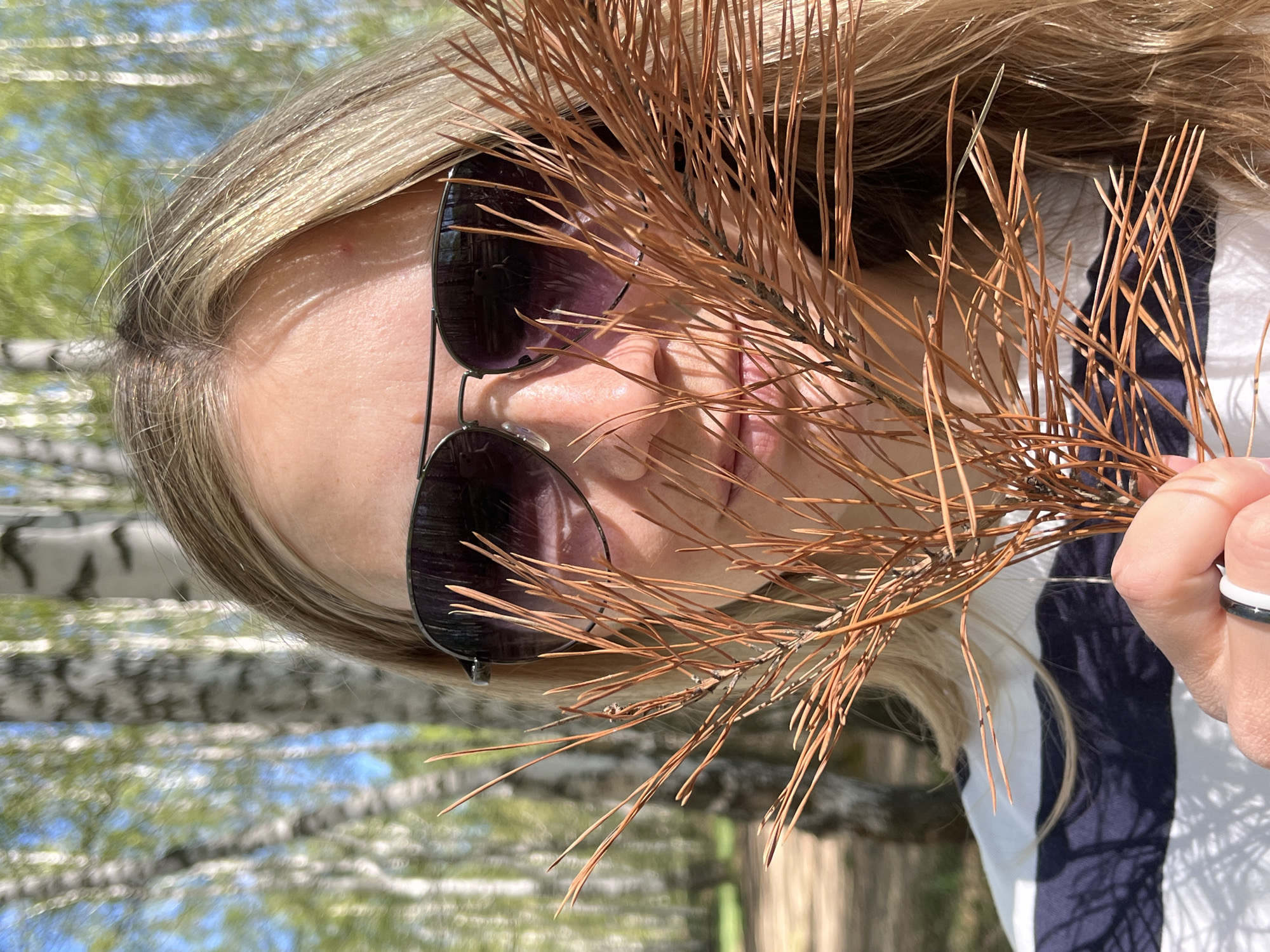 A person, presumably female, is holding a dried sprig of pine needles in front of her face. She is wearing dark sunglasses. Her hair is blonde. The background includes trees and sky, suggesting an outdoor setting. The presence of birch trees implies the location may be Russia. While the image does not specifically confirm the city of Chaikovsky, Russia, the environmental details are consistent with a location within that region. The person is wearing a shirt with blue stripes on white. She is holding the sprig with her right hand which has a ring on her finger.