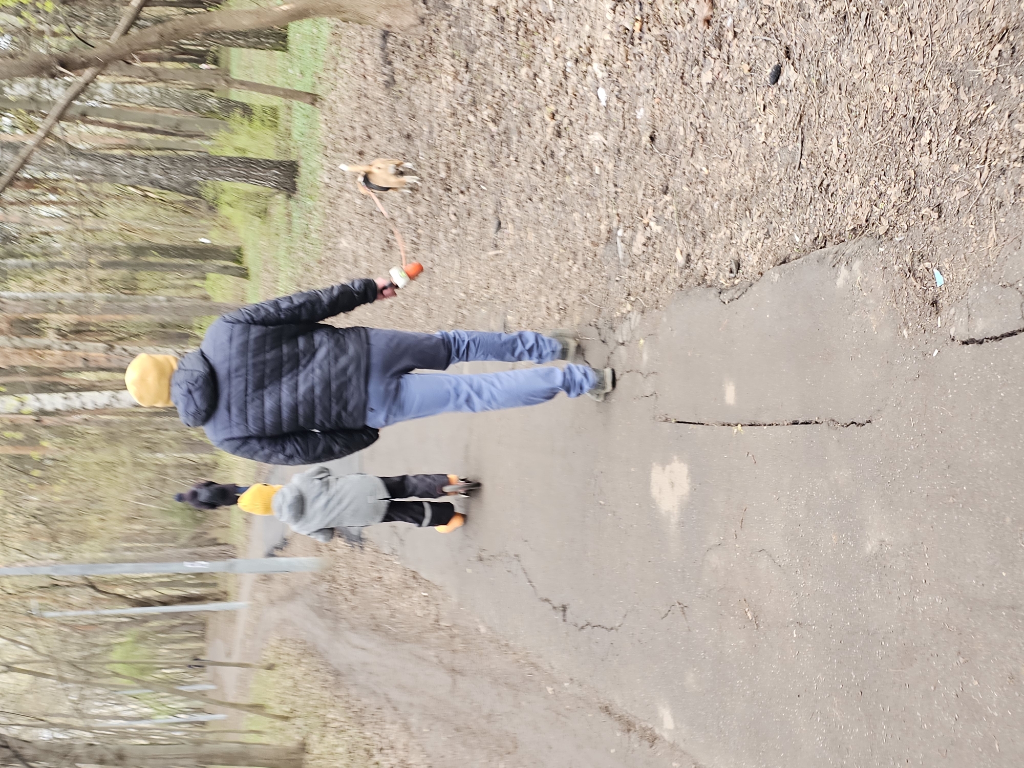 The image captures an outdoor scene on a cracked asphalt path, likely in a park or wooded area in the city of Unknown, Unknown. The path is bordered by a ground of fallen leaves and trees in the background. A person wearing a navy blue quilted jacket, light blue jeans, a yellow beanie, and grey shoes is walking a dog on a leash. The dog, which appears to be light brown, is slightly ahead on the path. Another person, shorter in stature, is walking behind the first person. They are wearing a grey jacket, black pants with orange at the bottom, orange shoes, and a yellow beanie. The image captures the interaction of people walking their dog in a park-like setting.