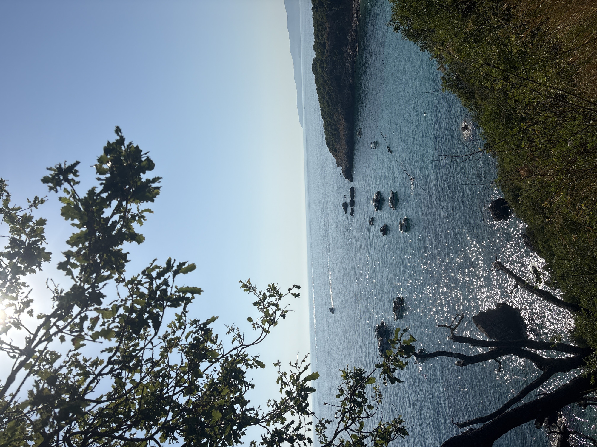 This image depicts a serene coastal scene, likely in the vicinity of Drobnići, Montenegro, under a clear blue sky. The foreground is dominated by the dark silhouettes of tree branches, some with green leaves, which partially obscure the view of the sparkling blue sea. Sunlight glints off the water's surface, creating a shimmering effect.
Several small boats are scattered across the water. Some are moored together, while others appear to be moving. A single larger boat is visible further out, leaving a wake. A line of buoys or markers stretches across a section of the bay, suggesting a designated swimming or activity area. In the distance, a verdant, tree-covered headland juts out into the sea, with mountains forming a hazy backdrop on the horizon. The overall impression is one of a peaceful, sun-drenched day by the Adriatic coast.