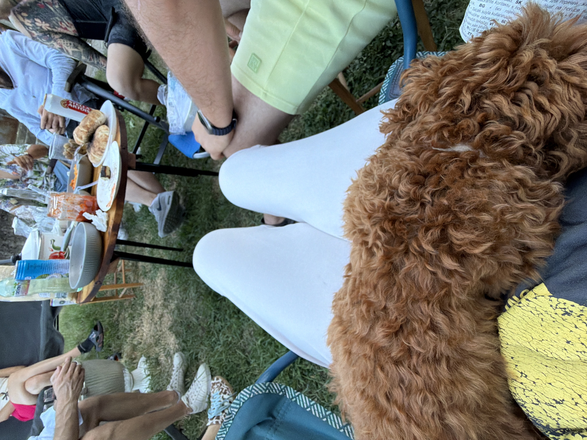 The image depicts an outdoor gathering with several individuals seated around a table laden with food and drinks. A red-haired dog is prominently featured in the foreground, resting on the lap of a person wearing white pants. The setting appears to be a backyard or park with grass and foliage. The presence of a table with food and drinks, along with people in casual attire, suggests a social event such as a picnic or barbecue. The mention of Noevtsi, Bulgaria, indicates the geographical location of this scene.