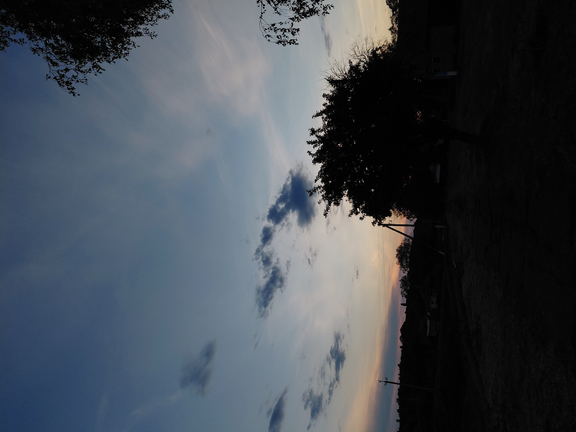 The image depicts a rural scene at dusk in Ustyvytsia, Ukraine. The sky, transitioning from dark blue overhead to light grey-blue with subtle orange and pink hues near the horizon, features scattered dark cumulus and faint cirrus clouds. The foreground and midground are rendered in deep silhouette due to the low light. A large, dense deciduous tree dominates the right midground, its foliage forming a dark mass. A branch with small leaves, possibly from a birch tree, extends into the upper right corner. Two utility poles stand erect, one on the far left and another on the right, with visible overhead lines. Behind the main tree, a dark building, likely a dwelling or shed, with discernible window outlines, is partially visible. The ground appears as dark, indistinct terrain, possibly an unpaved yard or field. A gentle, silhouetted treeline forms the distant horizon. No people are present.