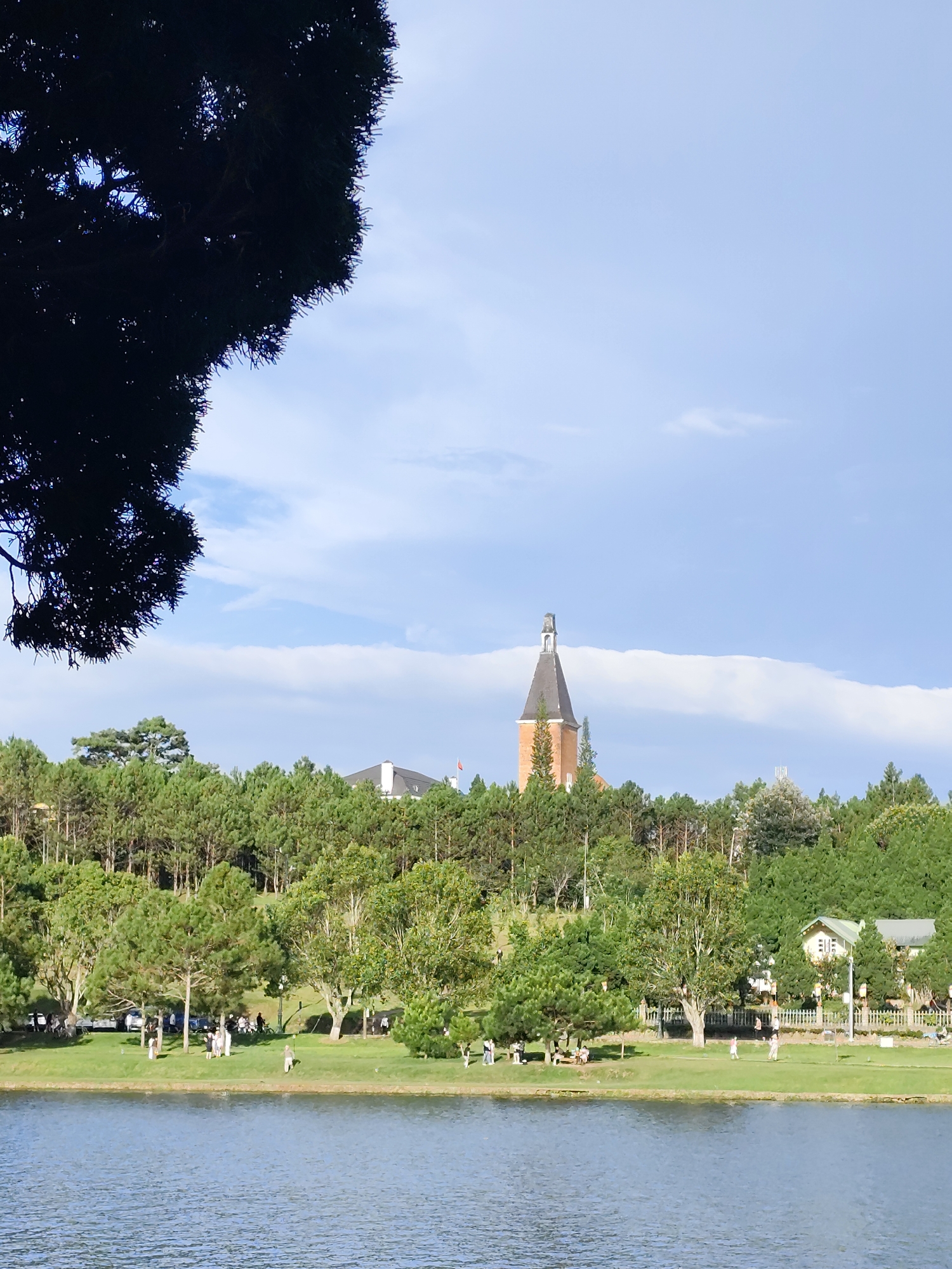 This image depicts Xuan Huong Lake in Da Lat, Vietnam. The foreground is dominated by the calm, blue water of the lake. A large, dark silhouette of pine tree branches is in the upper left corner, obscuring part of the sky. The middle ground features a lush green grassy bank populated by several people engaged in various activities, including walking, standing, and sitting. A row of cars is parked on the grass near the treeline. Behind the grassy area, a dense forest of pine trees covers a hillside. Rising above the trees in the background is a distinctive clock tower, which is part of the Domaine de Marie Church. The sky is a pale blue with scattered white clouds.