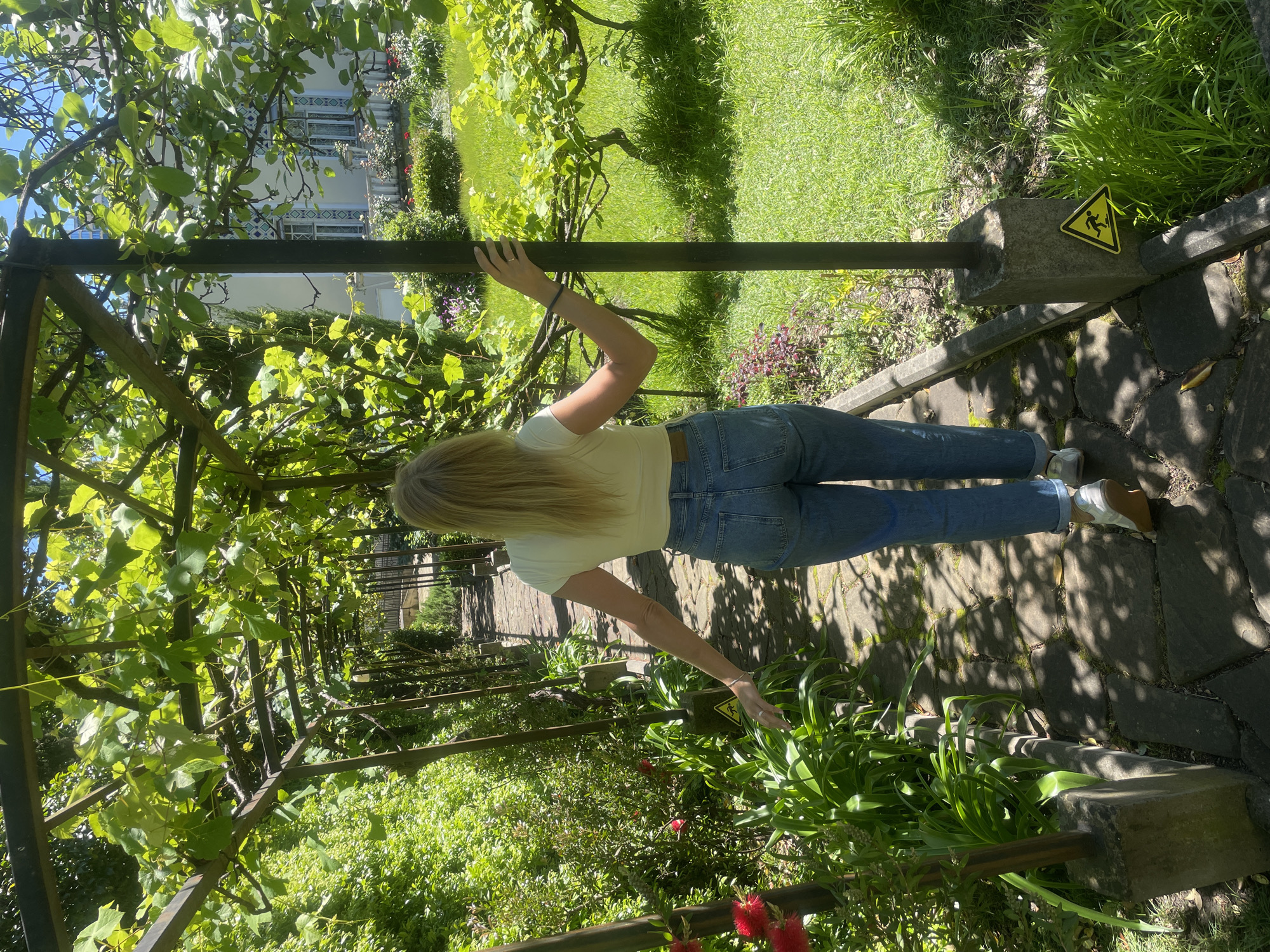 This vibrant, sunlit image captures a woman walking along a shaded garden path in Sochi, Russia. The scene is dominated by a wooden or metal pergola structure, heavily draped with lush green vines, possibly grapevines, creating a natural canopy. Small, light green spherical fruits are visible among the leaves, suggesting early growth.
The woman, with long blonde hair, is seen from behind, wearing a light-colored top and blue jeans. Her right arm is raised, lightly touching the horizontal beam of the pergola, while her left arm is extended towards the plants lining the path. She appears to be casually strolling and enjoying the garden.
The path beneath her feet is made of irregular gray flagstones, showing dappled sunlight and shadows cast by the overhead foliage. To the right of the path, a thick bed of green grass extends into the distance, with some taller, wilder grass bordering the path. On the left, dense green bushes and plants, including some with red blossoms, line the walkway.
In the upper left background, partially visible through the leaves, is a building with white walls and decorative blue and white tile patterns around its windows, characteristic of Mediterranean or Black Sea coastal architecture. The clear blue sky is visible in patches through the pergola.
A notable detail is a yellow triangular warning sign attached to a concrete post on the right side of the path, depicting a black symbol of a person falling, indicating "caution" or "slippery surface." The bright sunlight suggests it is daytime, likely a clear and pleasant day. The overall impression is one of a tranquil and picturesque garden setting.