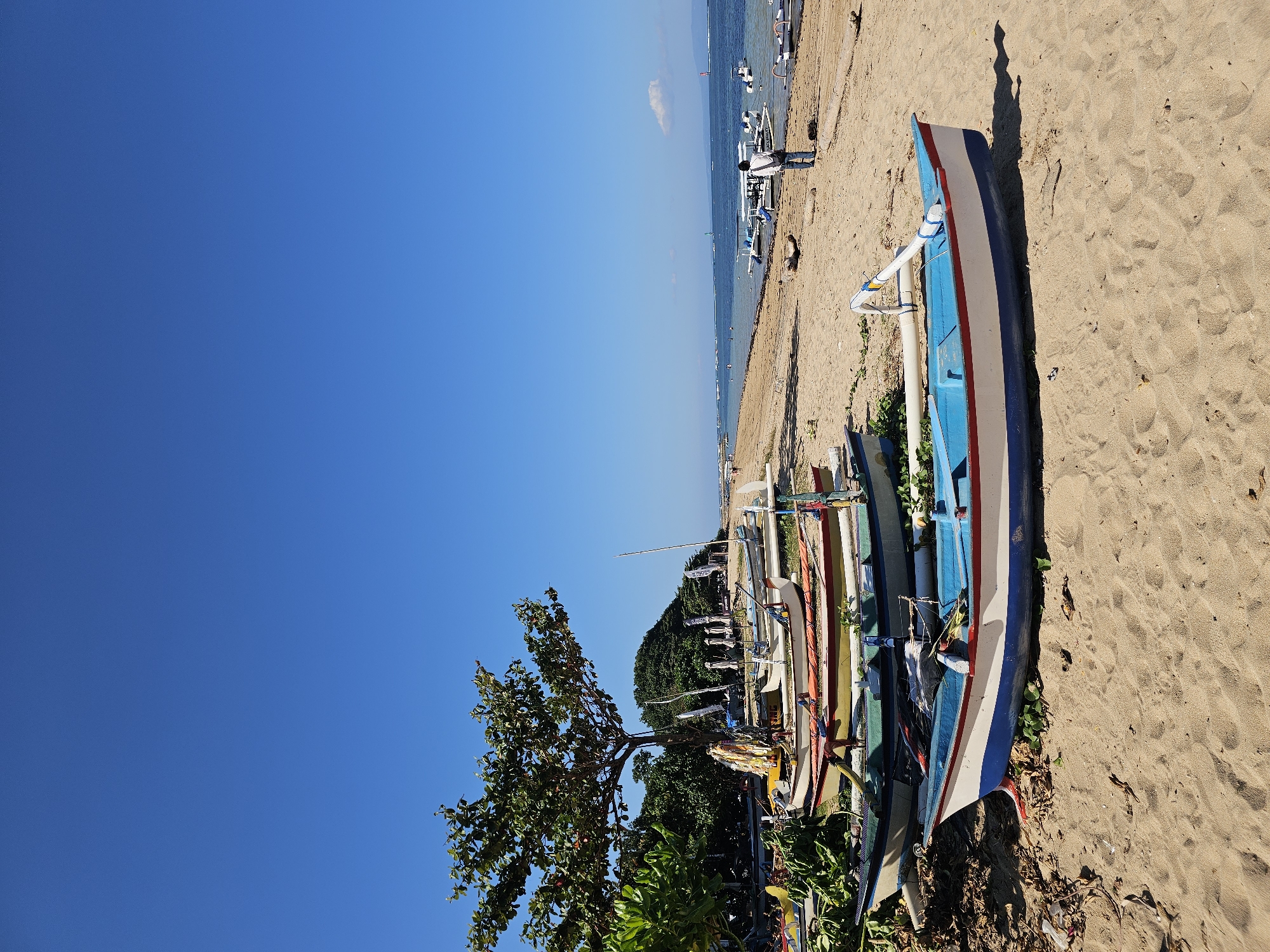This is a medium shot, taken at eye level, of a beach in Denpasar, Indonesia, on a clear, sunny day. The foreground is dominated by several traditional Balinese fishing boats, known as jukung, lined up on the sandy shore. These boats are painted in various bright colors, with the closest one featuring a blue hull and white sides with a red stripe. Vegetation, including green foliage, is visible behind the boats.
In the mid-ground, the beach continues, with more boats and some beach umbrellas further down. A person, dressed in jeans and a white shirt with a bag slung over their shoulder, stands on the sand, facing away from the camera and towards the water. The ocean stretches out to the horizon, with several other boats, including some larger, white vessels with canopies, visible in the distance. The sky is a vast expanse of clear, bright blue. The overall impression is one of a serene tropical beach scene, with the jukung boats being a prominent cultural and visual element.