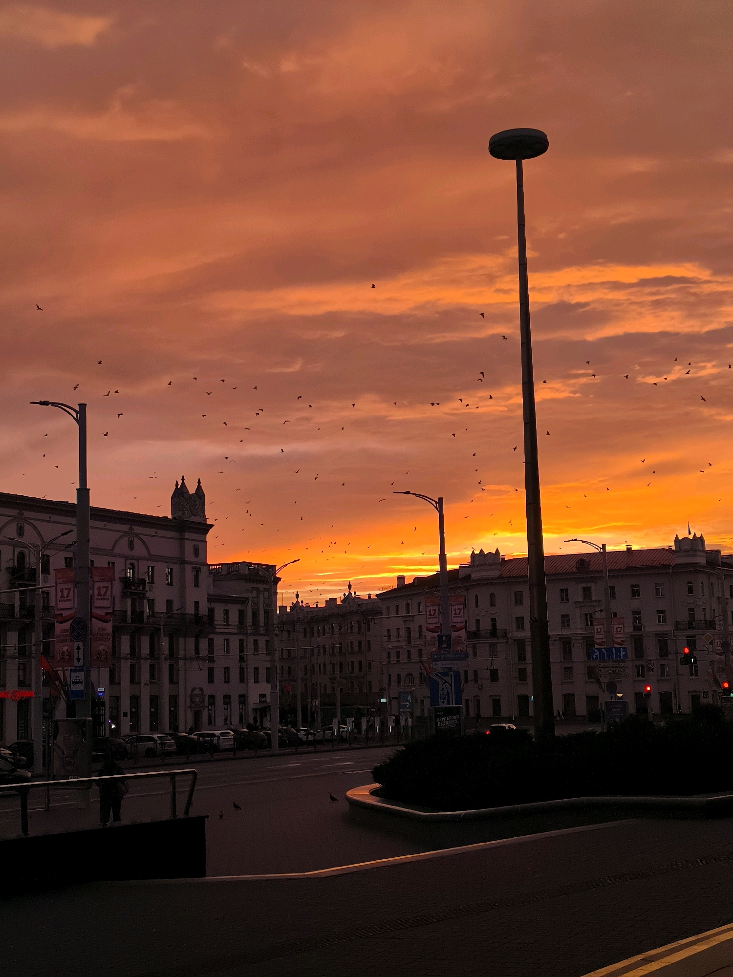 The image depicts a city street in Minsk, Belarus, during a vibrant sunset. The sky is a dramatic canvas of fiery orange and red hues, with scattered clouds tinged by the setting sun. A large flock of birds is silhouetted against the colorful sky, appearing as tiny dark specks in motion. Two tall lampposts with circular lamps are prominent features in the scene, one on the right side of the frame and another on the left, though partially obscured by buildings.
The foreground shows a dark asphalt road with yellow lane markings. The midground features several multi-story buildings with ornate architectural details, typical of the Stalinist Empire style found in Minsk. These buildings are white or light-colored and have numerous windows. Street signs and banners are visible on the buildings and poles, some bearing Russian or Belarusian text, with one banner clearly displaying the number "17". A traffic light with red and green signals is visible on the right side of the frame, indicating ongoing traffic flow. Cars are parked along the street and some are in motion. In the lower left, a person is standing near a railing, partially visible in shadow. Pigeons are also present on the pavement near the road. The overall impression is an urban landscape bathed in the dramatic and atmospheric light of a sunset.