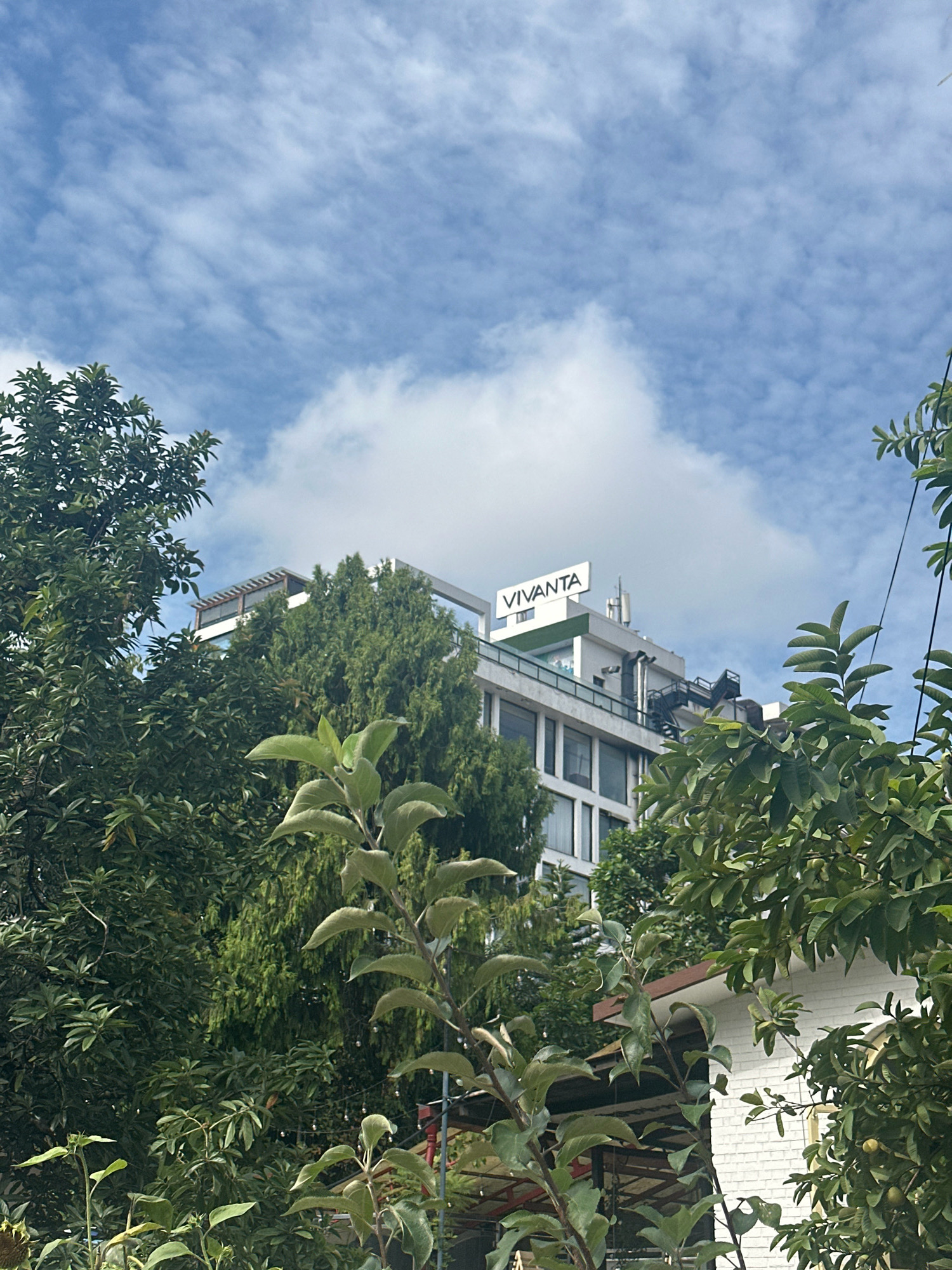 This is a medium-angle, eye-level shot of a building exterior in Lalitpur, Nepal, framed by lush green foliage. The building, likely a hotel or office complex, features a white facade with multiple stories and visible windows. A prominent sign on the rooftop displays the word "VIVANTA" in black lettering against a white background. Several trees, varying in size and density, occupy the foreground and sides of the frame, their leaves creating a natural curtain. The sky above is a mix of blue with scattered white clouds. No people are visible in the image. The scene appears to be captured on a bright day, with natural lighting illuminating the environment.