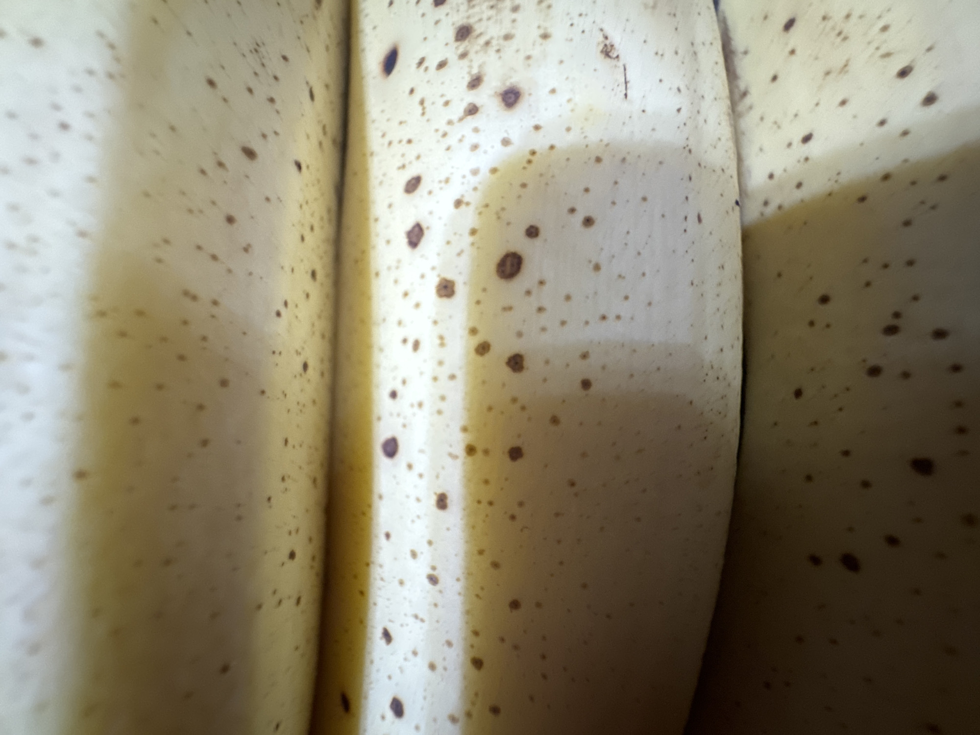 The image is a close-up, shallow depth-of-field shot of three bananas stacked on top of each other. The bananas are a light yellow color with numerous brown spots, indicating ripeness. The lighting appears to be soft and natural. The composition focuses on the texture and coloration of the banana peels. There is no discernible background or environmental context within the frame to suggest a specific location, including Waterford, Ireland. The image is purely a still life of fruit.