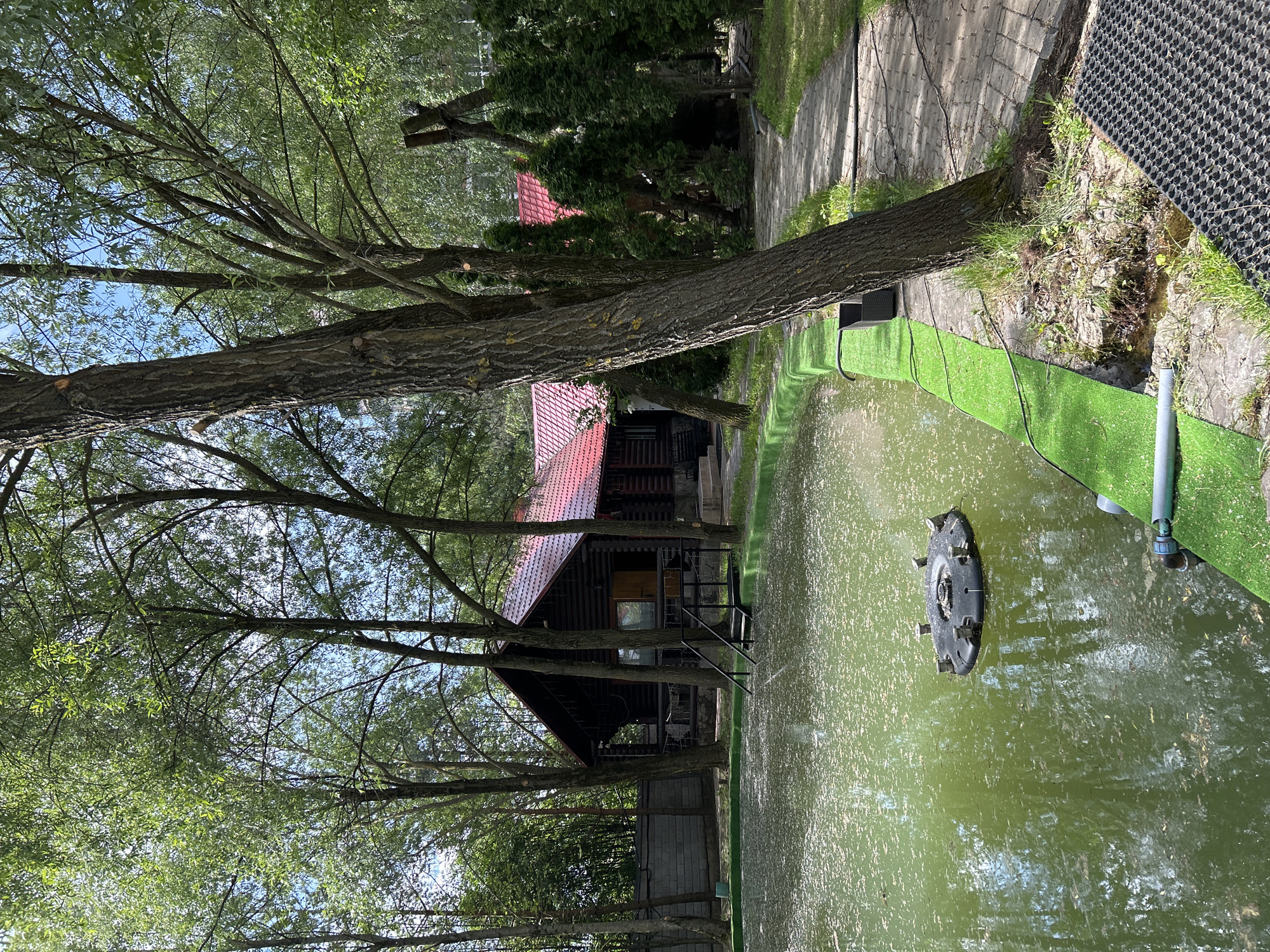 The image depicts a pond in what appears to be a park-like setting with a small cabin-style building in the background. The pond has a green tint, and a round, black object is floating in the water. A tree trunk is prominently featured in the foreground, partially obscuring the view of the cabin. Green artificial turf lines part of the pond's edge.
While the location is stated to be Khimki, Russia, there are no elements in the image that definitively confirm this location.