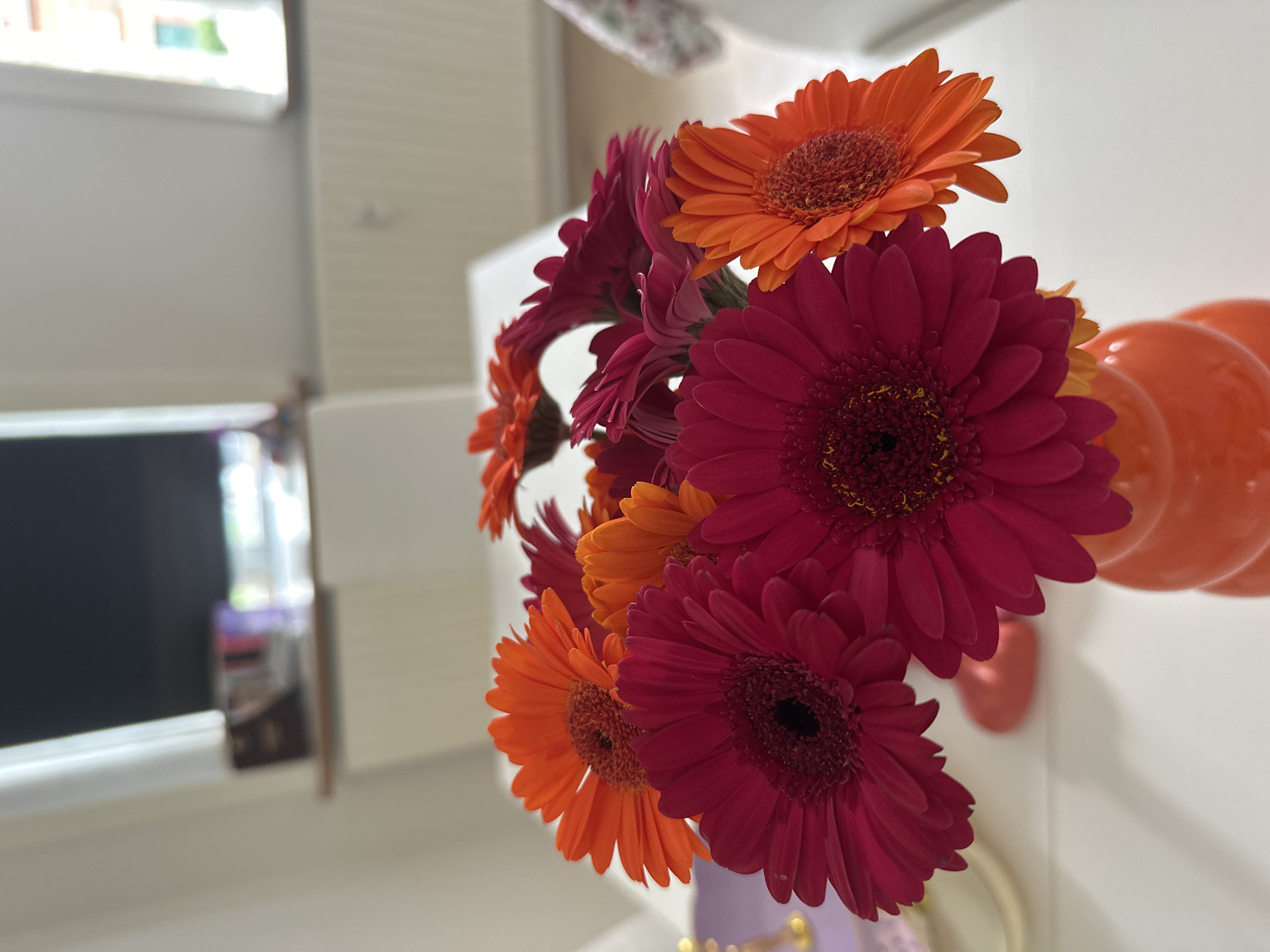 This image depicts a bouquet of cut flowers, primarily Gerbera daisies, arranged in an orange vase, situated on a white table within an interior space in Horsens, Denmark.
The bouquet consists of approximately 8-10 visible blooms, predominantly in shades of fuchsia/magenta and vibrant orange. Each flower features a central dark disc florets surrounded by radiating petals. The vase is ceramic or glass, glossy orange, and features a distinct spiraled or ribbed texture on its exterior.
The vase rests on a flat, white surface, likely a table. To the left, a blurred light purple object with a metallic gold accent is partially visible. Further back and slightly to the right of the vase, a small, indistinct reddish-orange object is also present on the table.
The background is significantly out of focus, revealing a room interior with light-colored walls. Two windows are present; the left window shows a dark, indistinct outdoor scene, while the right window reveals a brighter exterior with hints of green foliage and a reddish building. Beneath the right window, a white, horizontally ribbed radiator is clearly visible. A white cabinet or low piece of furniture is situated beneath the left window. The scene is brightly lit, suggesting natural daylight. No individuals or active interactions are depicted in the scene.