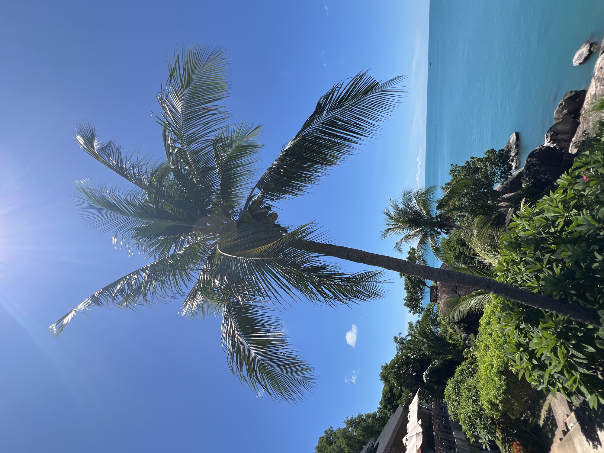 This media file captures a tropical scene under a clear blue sky. The primary subject is a large palm tree with its fronds spread wide, silhouetted against the bright sky, with the sun's rays creating a lens flare effect. In the background, a tranquil turquoise ocean meets a rocky coastline dotted with lush green vegetation. The image evokes a sense of peace and vacation.
The scene appears to be set in a tropical location, likely Baan Chaweng Noi, Thailand, given the presence of palm trees, the clear blue sky, and the inviting ocean. The time of day is clearly daytime, with bright sunlight indicating it could be late morning or early afternoon. The weather is fair and sunny, typical of a tropical paradise.
Notable details include the texture of the palm fronds, the clarity of the ocean water, and the natural rock formations along the shore. There is also a hint of man-made structures, possibly a resort or villa, suggested by the presence of a tiled roof and a white awning in the lower right corner of the image. The overall mood is one of relaxation and natural beauty. No text is visible in the image.