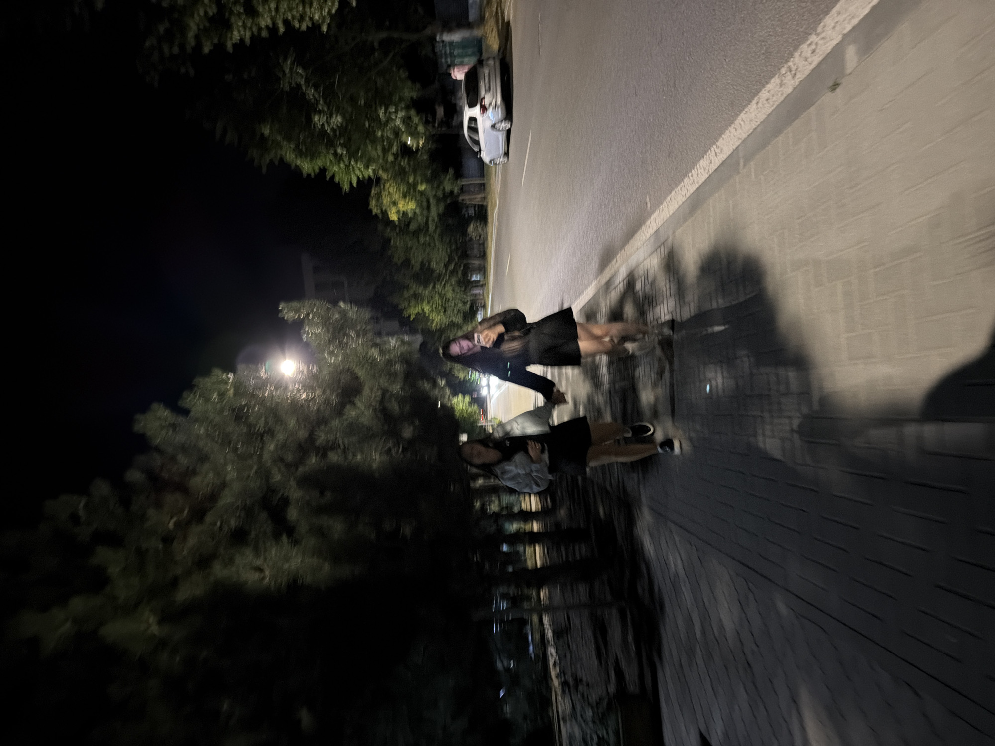The image depicts two women standing on a sidewalk at night. They are positioned vertically in the frame, with their heads towards the top and feet towards the bottom, suggesting the photo is rotated. The woman closer to the foreground is wearing a black dress and appears to be holding a phone. The woman behind her has a lighter colored top and is wearing shorts. They are both facing the camera, with a slightly smiling expression.
Behind the women, there's a street with a white car parked on the side. Trees line the left side of the image, with their leaves illuminated by a street light above. The sidewalk is paved with rectangular stones, and shadows are cast across it. The scene suggests a casual nighttime outing in a town or city. The lighting is dim, typical of nighttime, and the weather appears clear. The location context provided is Strășeni, Moldova. No visible text is present in the image.