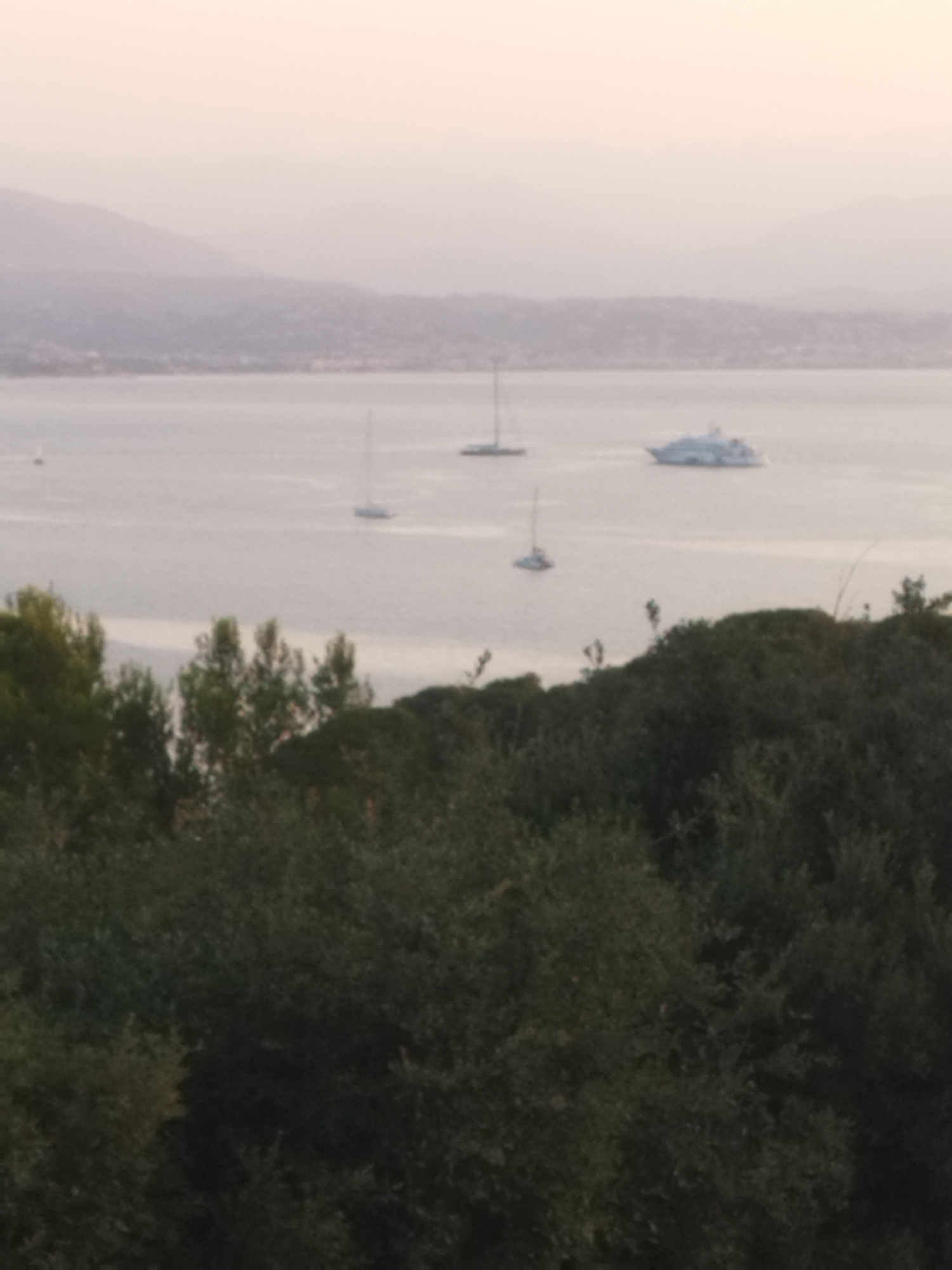 The image shows a hazy, distant view of the sea with several boats and a large white yacht. In the foreground, there are dark green trees and foliage. The background consists of faint hills and a pale sky, suggesting either dawn or dusk. The scene is likely a coastal view in or near Antibes, France, a location known for its scenic beauty and harbor. The overall impression is one of tranquility and natural scenery.