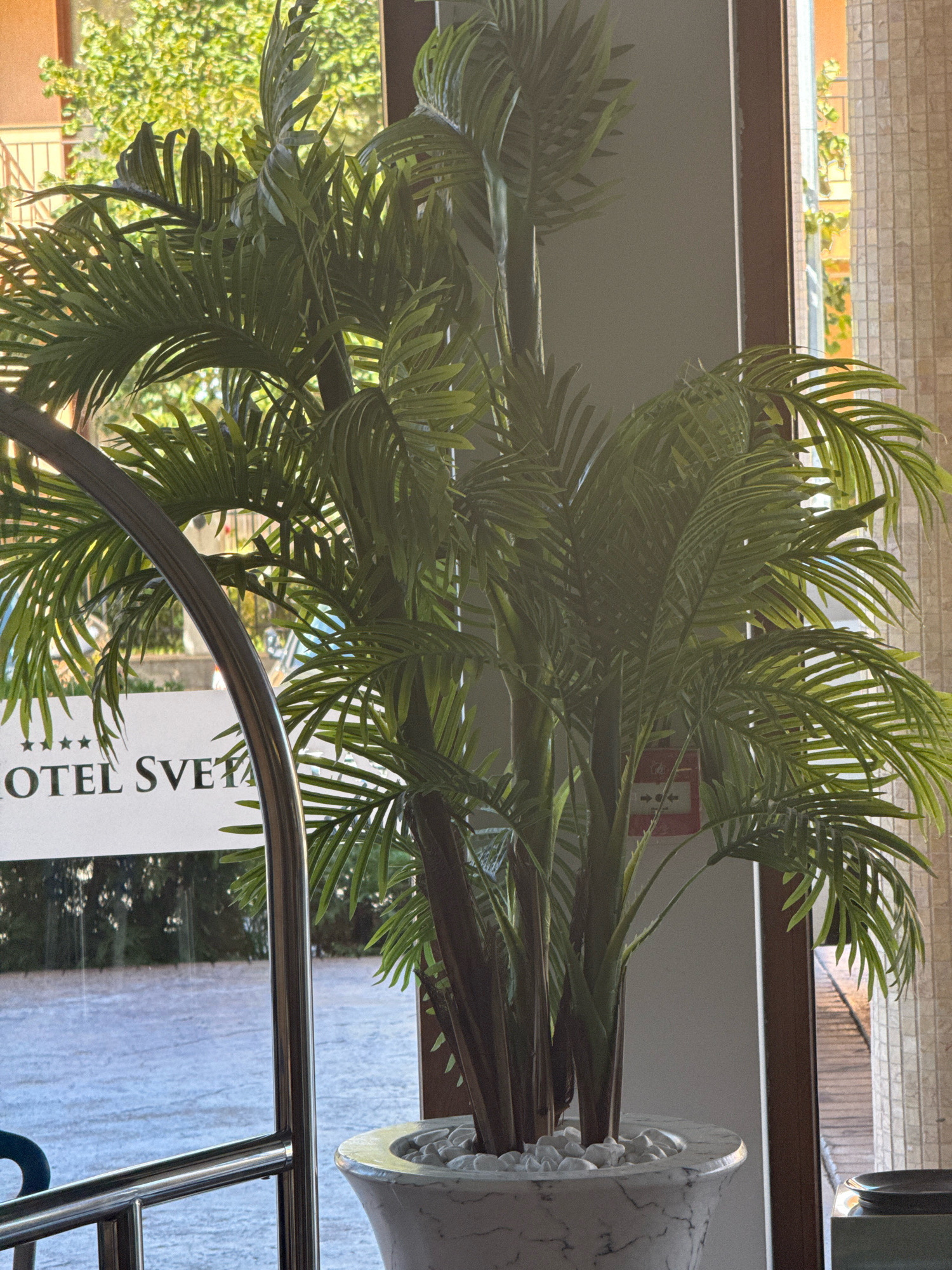 The image shows a potted artificial palm tree inside a building, likely a hotel lobby, with a partial view of a luggage cart in the foreground. Through a large window or glass door behind the plant, a sunlit outdoor scene is visible, including trees, a building facade with tiled accents, and what appears to be a paved area or street. The text "HOTEL SVETA" is visible on the glass. The overall impression is one of an entrance area, possibly in a hotel located in Sveti Vlas, Bulgaria, given the visible text.