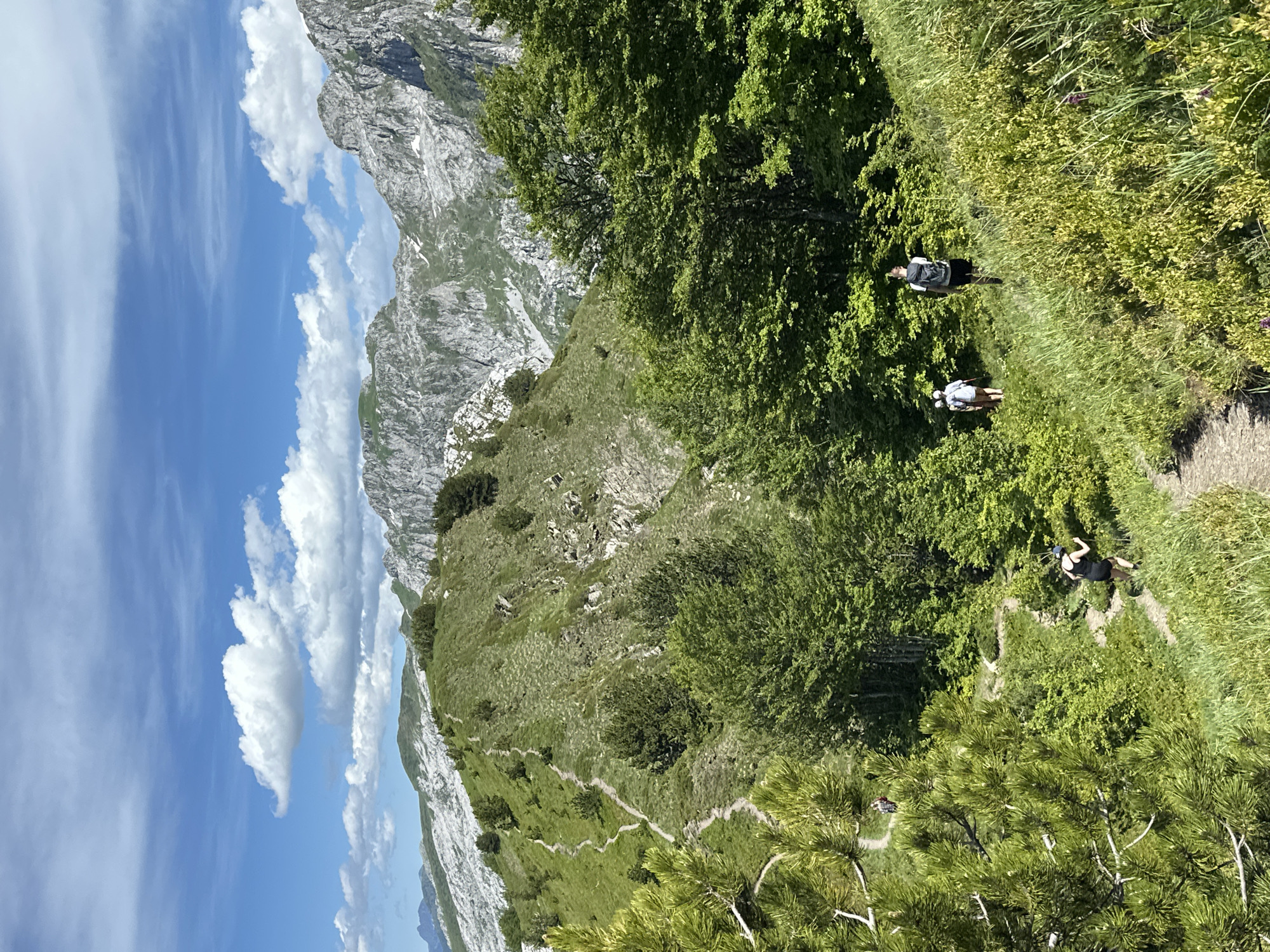 A group of hikers are seen traversing a rugged mountain path in the region of Dolja, Montenegro. The landscape is characterized by steep, verdant slopes dotted with scattered trees and rocky outcrops. The path, winding and narrow, ascends through a mix of grassy areas and patches of dense foliage. In the foreground, the lush green of pine needles and tall grass suggests a vibrant natural setting. Further back, the mountains rise majestically, their rugged peaks capped with sparse snow and interspersed with rocky cliffs. The sky above is a brilliant blue, adorned with fluffy white clouds, indicating fair weather. Several individuals are visible on the path: one person, dressed in dark attire, is descending a steeper section of the trail, while two others are walking uphill further ahead. A fourth hiker is partially visible in the distance on an upper section of the path. The scene captures a moment of outdoor activity amidst a dramatic and scenic mountain environment.