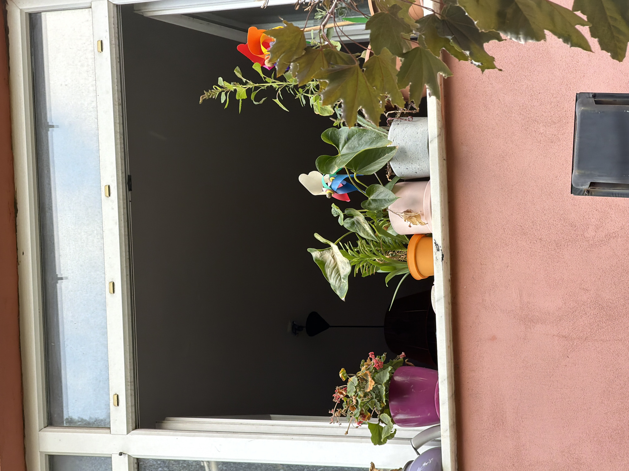 The image depicts a close-up view of an open window in what appears to be an urban setting. The window frame is white, and the glass is dusty. On the windowsill, which is a light-colored marble or stone, several potted plants are arranged. To the left, a bright magenta pot holds a plant with green leaves and small red and yellow flowers. Next to it, a lavender-colored object, possibly a watering can, is partially visible. To the right of the magenta pot, an orange pot contains a plant with broad, green leaves. Further to the right, a pale pink pot holds another plant with green leaves, and next to it is a grey, textured pot also containing a green plant. A decorative pinwheel with colorful blades is visible among the plants. In the background, through the open window, a dark, shadowed interior is visible, with a black pendant light fixture hanging from the ceiling. On the exterior, a textured pink wall forms the lower part of the scene, and a branch with dark green, lobed leaves hangs into the frame from the right. A black metal object, possibly part of an appliance or ventilation system, is visible at the bottom center of the image. The presence of plants on a windowsill suggests an outdoor or semi-outdoor space in a residential or commercial building. Given the context of Kadıköy, Turkey, this scene could be characteristic of residential balconies or window sills in a neighborhood like Yeldeğirmeni or Moda, known for their architecture and vibrant community life.