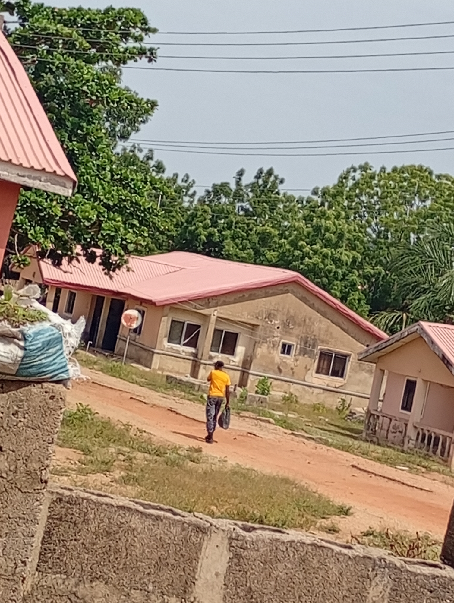 The image depicts an outdoor scene in Lokoja, Nigeria, featuring a man walking away from the camera on a dirt road. The man is wearing a yellow shirt and dark pants and carrying a dark object in his right hand. He is walking away from a beige-colored house with a pink metal roof. To the left of the main house is another building with a pink roof and to the right, a smaller, lighter-colored building with a pink roof. The buildings appear to be located on a grassy, unkempt lot. A partially visible concrete wall is in the foreground. A white bag filled with green material sits atop the wall. Power lines are visible in the sky above the trees. The lighting suggests it is daytime.