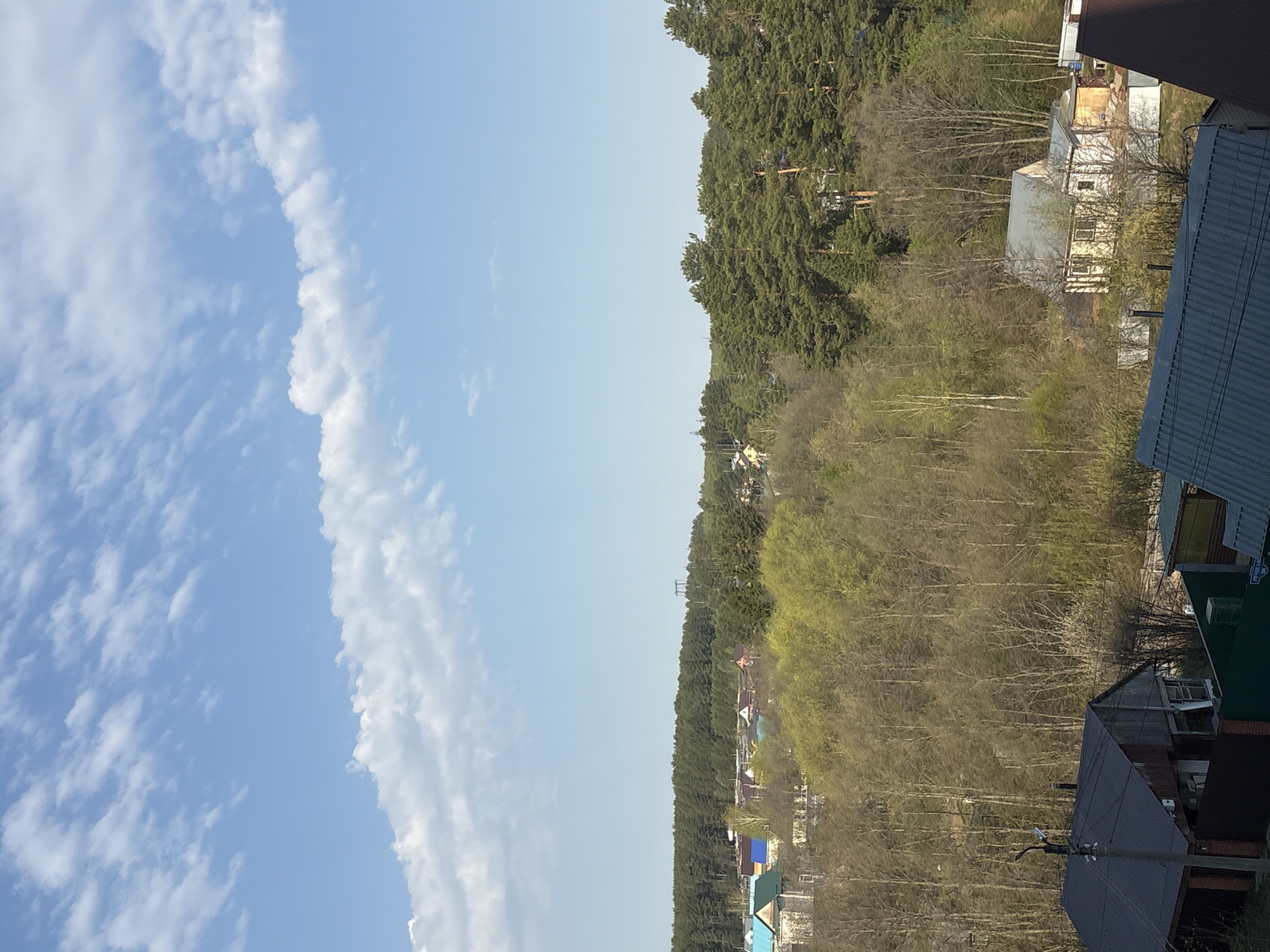 The image depicts a view in the city of Chaikovsky, Russia. The left side features a bright blue sky with scattered white clouds. The right side shows a residential area nestled amidst trees. Some buildings and houses with various colored roofs are visible amongst the trees. The overall impression is that of a clear, sunny day in a suburban area of Chaikovsky.