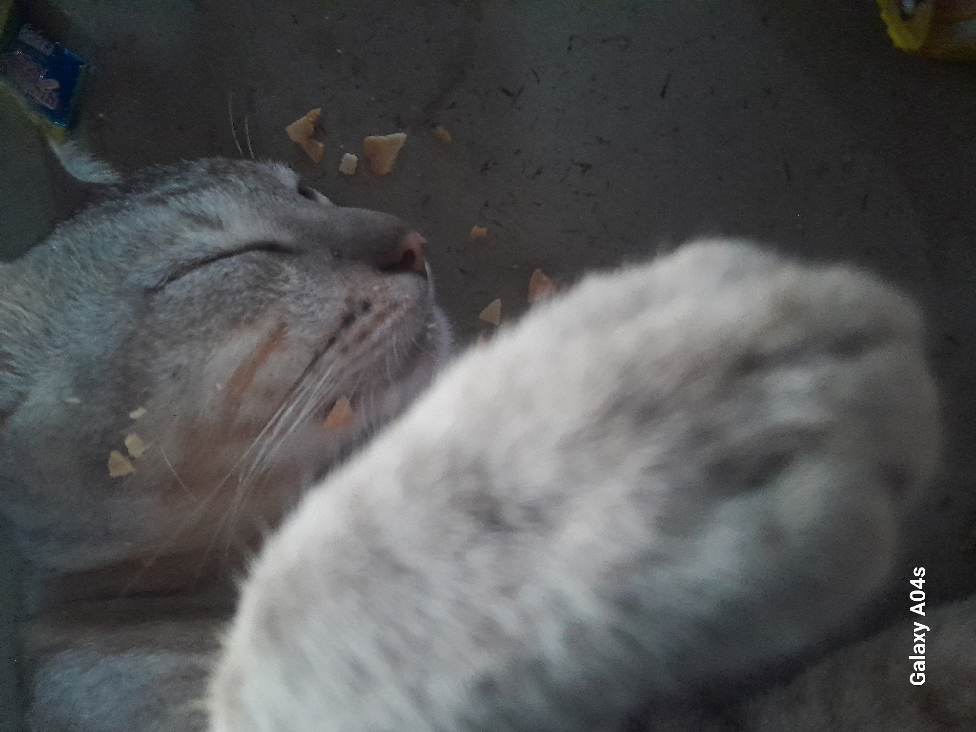 A close-up, overhead shot shows a domestic cat asleep on a dark-colored, rough surface, possibly concrete. The cat is light grey with darker stripes on its face and is curled on its side, with its right paw prominently in the foreground, appearing blurred due to its proximity to the lens. Small, light-colored food scraps are scattered around the cat's face and on the surface. In the upper right corner, a small, colorful piece of packaging is visible. The bottom left corner of the image contains the text "Galaxy A04s," indicating the device used for the photograph. The environment suggests an outdoor or semi-outdoor setting, potentially a yard or patio. The scene is not specific to any particular location within Pilangpayung, Indonesia, beyond the general assumption that it is within that city.