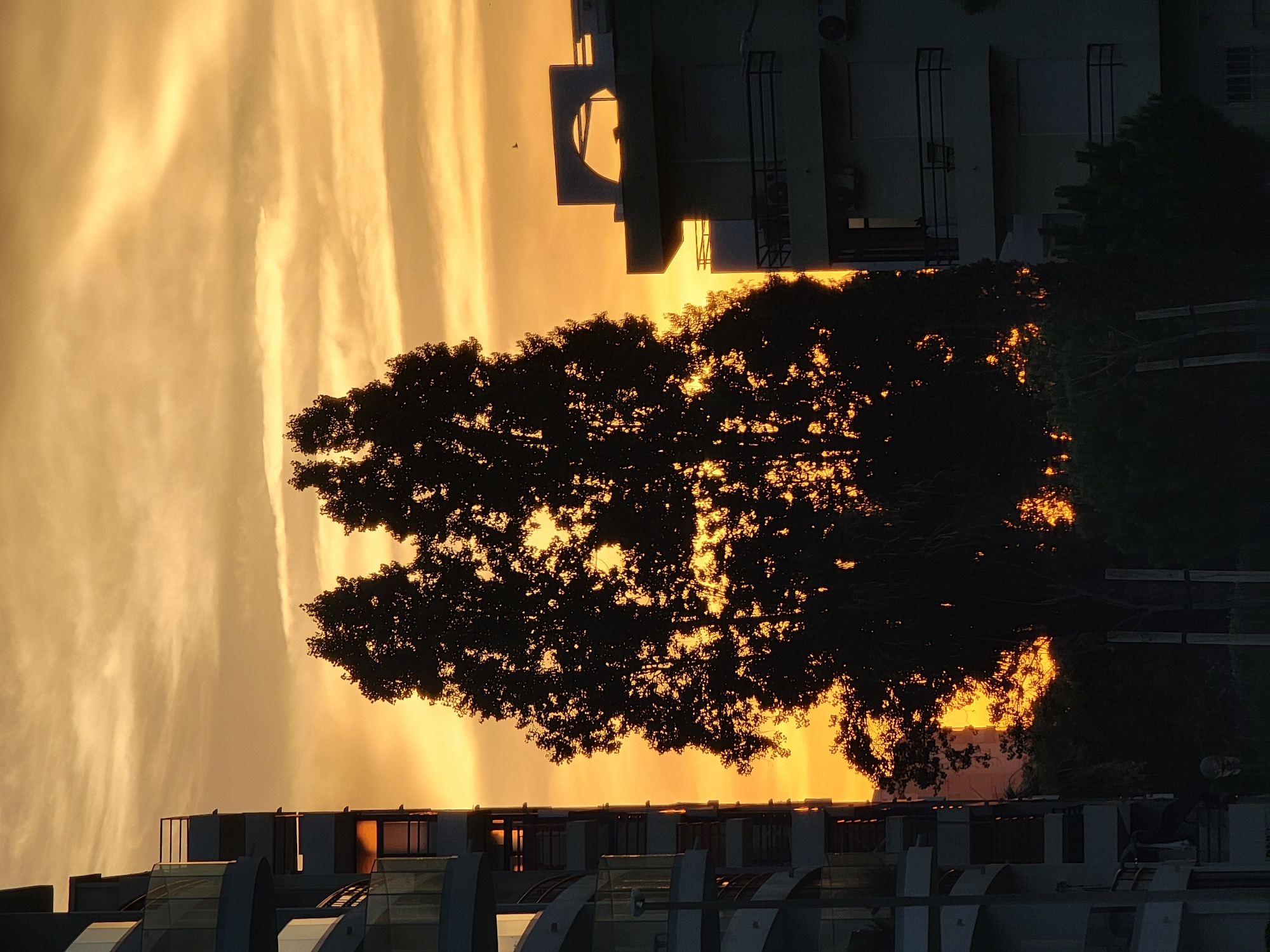 An urban sunset scene in Quarteira, Portugal, is depicted. Silhouetted against a vibrant orange and yellow sky are two tall trees positioned centrally. To the left, a modern building with multiple balconies and glass railings rises vertically. On the right, another building with distinct architectural features, including a rounded archway, is visible, along with balconies and air conditioning units. The lower portion of the image shows a dense area of dark green trees and shrubs. A small bird can be seen flying in the sky.