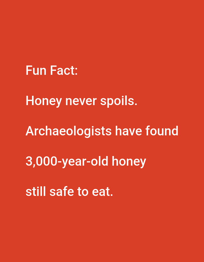 The image is a digital graphic with a solid orange-red background. White text is displayed in a sans-serif font, organized into several lines.
The text reads:
Fun Fact:
Honey never spoils.
Archaeologists have found
3,000-year-old honey
still safe to eat.
There are no elements in the image that would indicate a specific location in Lagos, Nigeria, or any urban setting. The image is purely text-based on a plain background.
