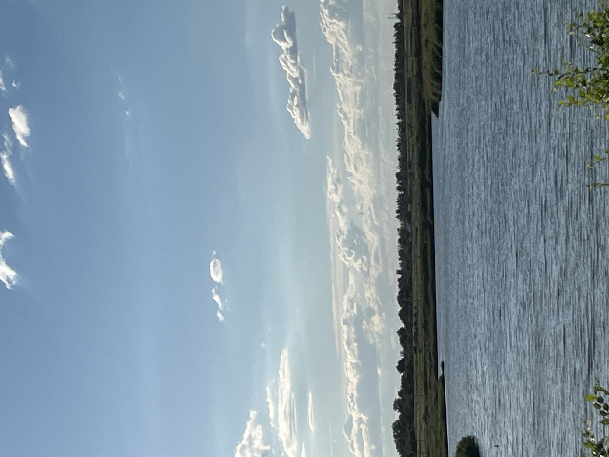 The image shows a wide, tranquil body of water, likely a river or a lake, under a bright blue sky dotted with fluffy white clouds. The water's surface is rippled, suggesting a gentle breeze. Along the far bank of the water, a dense line of trees and green vegetation forms a natural border, with a flat, grassy landscape stretching beyond. The sky occupies the upper half of the frame, featuring several distinct cloud formations of varying sizes and densities, some appearing as wispy streaks and others as more substantial, voluminous shapes. In the foreground, to the right, the tips of green leafy branches are visible, adding a touch of natural detail to the bottom of the composition. The overall scene conveys a peaceful, rural or semi-rural environment.