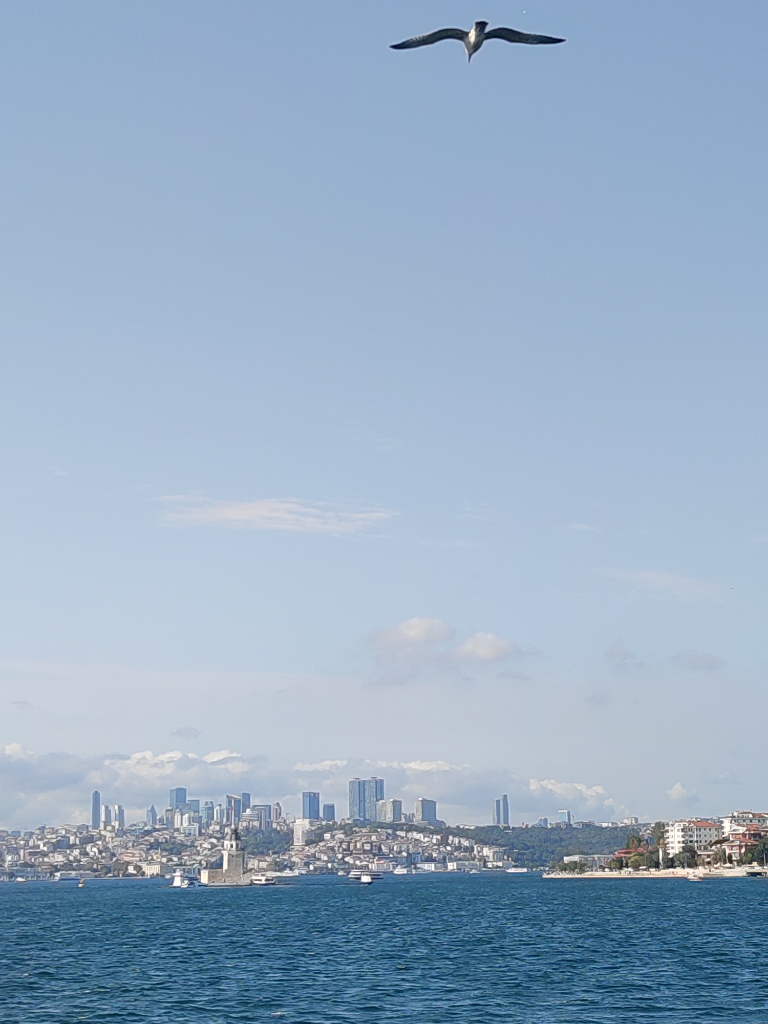 A bird is in flight high in the sky, silhouetted against a clear blue sky. Below, a city skyline stretches across the horizon, with numerous buildings of varying heights, including modern skyscrapers and older structures. In the foreground, a body of water, likely the Bosphorus Strait, is visible, with several boats dotting the surface. A prominent tower, likely the Maiden's Tower (Kız Kulesi), stands on a small island in the water. The scene appears to be a panoramic view of the Üsküdar district of Istanbul, Turkey, looking towards the European side. The water is choppy, indicating a slight breeze. The clouds are sparse and wispy, adding texture to the sky.