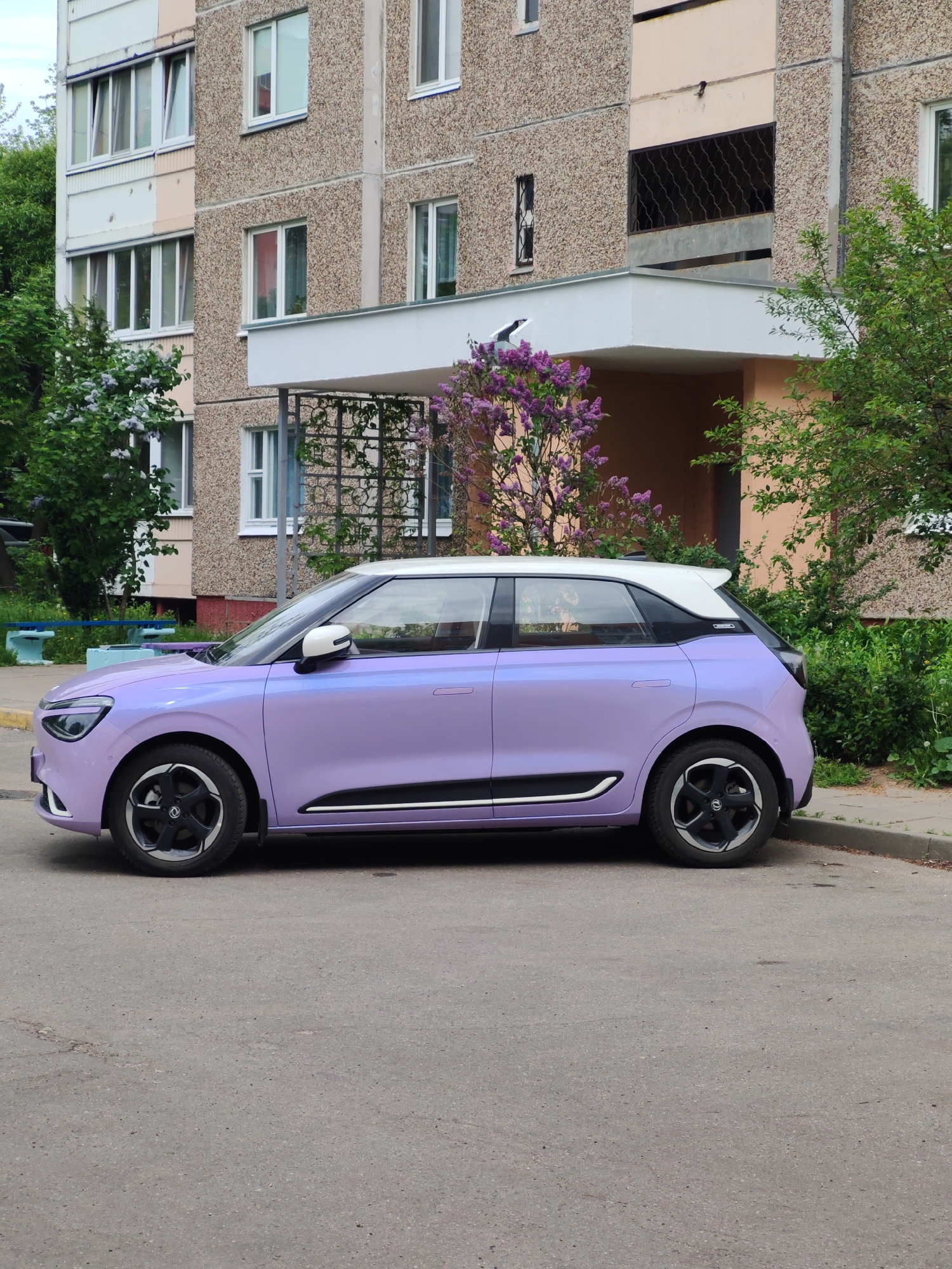 A purple and white car is parked on the side of a gray paved street next to a sidewalk and green grass. Behind the car is a beige building with white window trim and a flat roof over an entrance. A lilac bush is in front of the entrance. A green tree is on the right side of the car. The location is in an urban area.