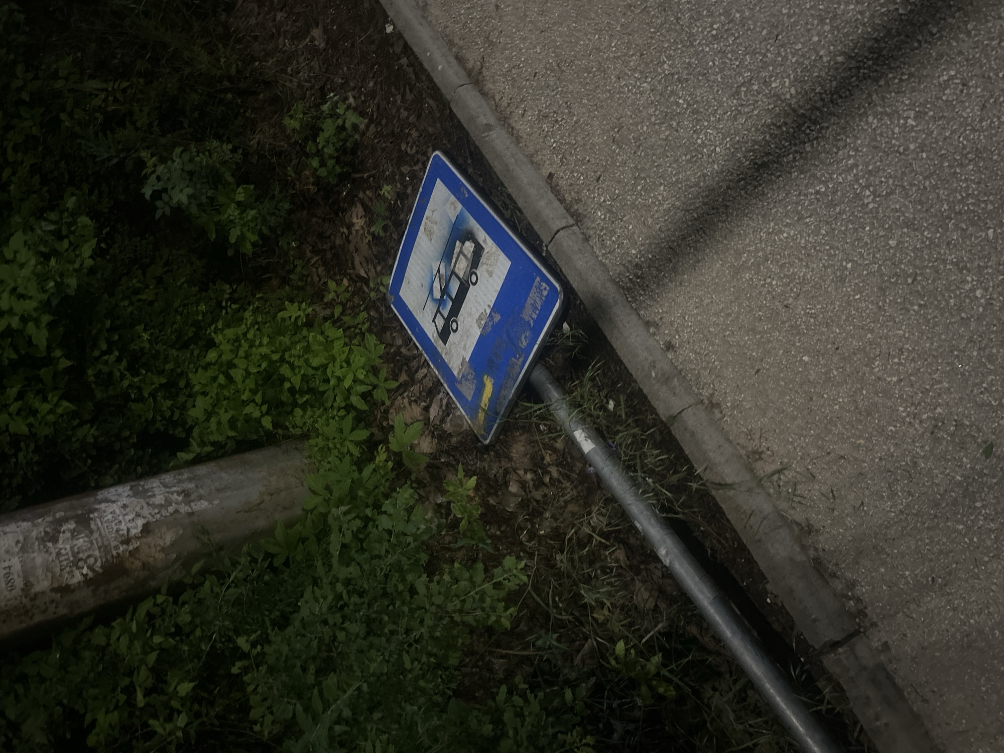 The image shows a damaged bus stop sign lying on the ground next to a curb. The sign is blue and white, depicting a bus, and appears to have been spray-painted or vandalized. The sign is attached to a metal pole. The surrounding area consists of greenery, possibly weeds and grass, and a concrete sidewalk or road surface. A second pole, possibly a street light pole, lies horizontally in the foreground. The location is presumed to be Pleven, Bulgaria. The scene is poorly lit, suggesting it is nighttime or a dimly lit area.