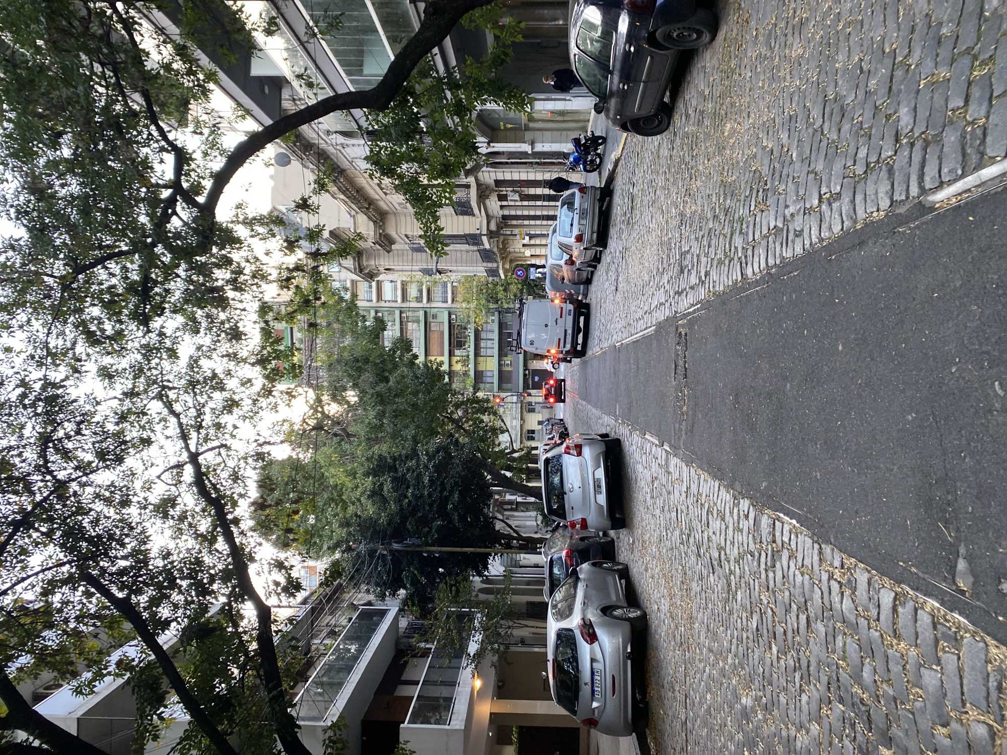 The image depicts a street scene in Buenos Aires, Argentina, with a slight upward angle. The road is paved with cobblestones on either side of a strip of asphalt. Cars are parked along both sides of the street. A mix of buildings, some with classical architectural details, line the street. Trees with dense foliage are on either side, partially obscuring the buildings. In the distance, there is a white van and the red lights of vehicles at an intersection. The sky is visible between the trees and buildings.