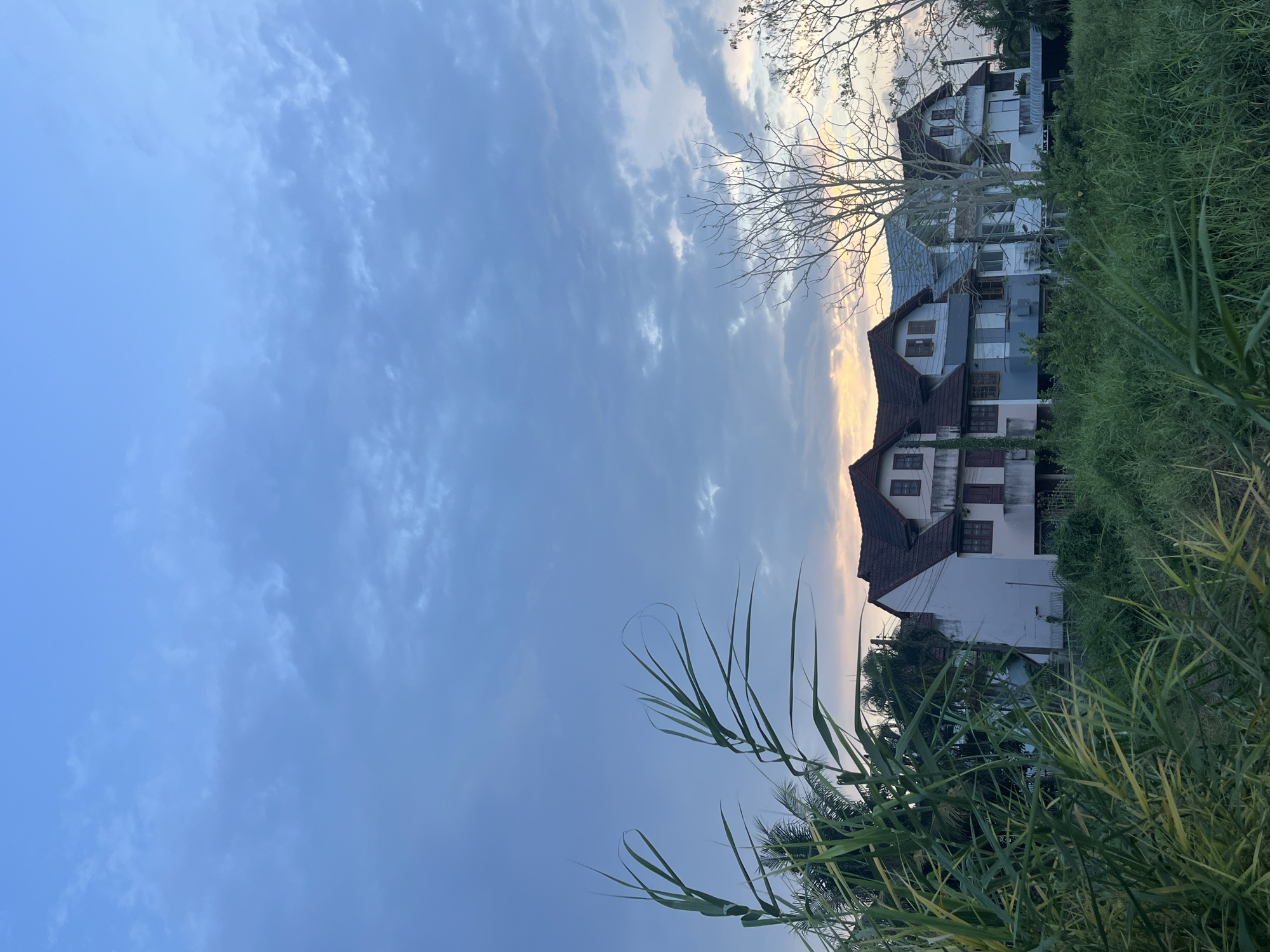 The image, taken in บ้านกาญจน์กนก 23, Thailand, shows a partially cloudy blue sky with a view of two multi-story white buildings with dark tiled roofs. Tall green grass and reeds fill the foreground and right side of the image, partially obscuring the buildings. A bare tree branch is visible between the buildings and the sky. The buildings have multiple windows. The light in the sky suggests it is either sunrise or sunset.