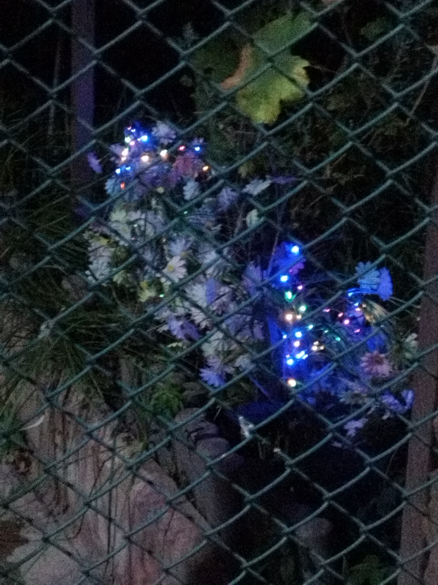 The image shows a chain-link fence in the foreground, obscuring a cluster of artificial flowers decorated with colorful LED lights. The flowers appear to be white and purple. The background is dark and appears to be an outdoor setting, possibly a garden or yard, with some foliage and what might be rocks or debris. There are no people visible in the image. The lighting suggests it is nighttime, with the LED lights being the primary source of illumination on the flowers. The image quality is low and grainy. The location in Shymkent, Kazakhstan is not discernible from the visual information provided.