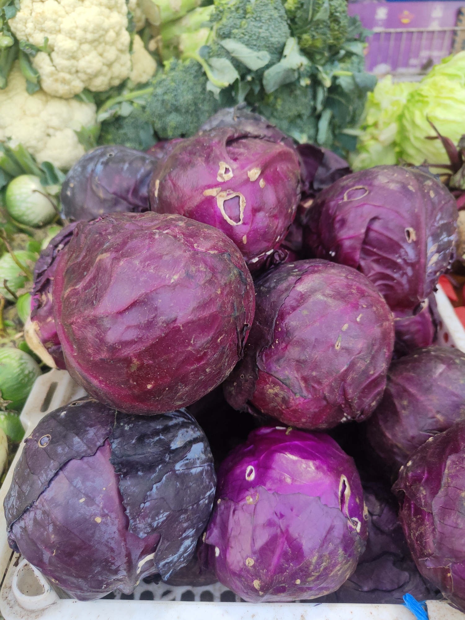 This is a close-up, eye-level, outdoor shot of red cabbages displayed in a white plastic crate at a market stall in Kauman, Indonesia. The cabbages are the primary subjects, filling the majority of the frame. They are a deep purple color with visible leaf veins and some blemishes. In the background, out of focus, are other vegetables including cauliflower, broccoli, and lettuce. The lighting is natural, suggesting it is daytime. There are no people or discernible actions in the image.