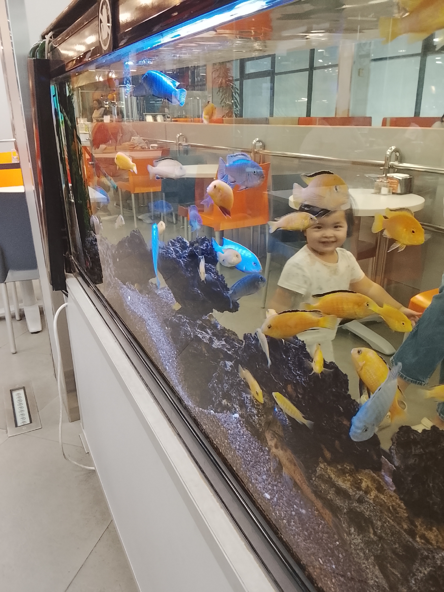 An indoor aquarium tank is filled with various colorful fish. In the foreground, a young girl with dark hair, wearing a white t-shirt, is visible behind the glass, smiling and looking towards the camera. She appears to be interacting with the fish. A person wearing blue denim is partially visible to the right of the girl. The aquarium contains several bright yellow and blue fish swimming among rocks and gravel. The background shows an interior setting, possibly a restaurant or public space, with tables, chairs, and other patrons reflected in the aquarium glass. The overall scene captures a moment of enjoyment and observation of aquatic life. The location is identified as Almaty, Kazakhstan, specifically within a restaurant setting.
