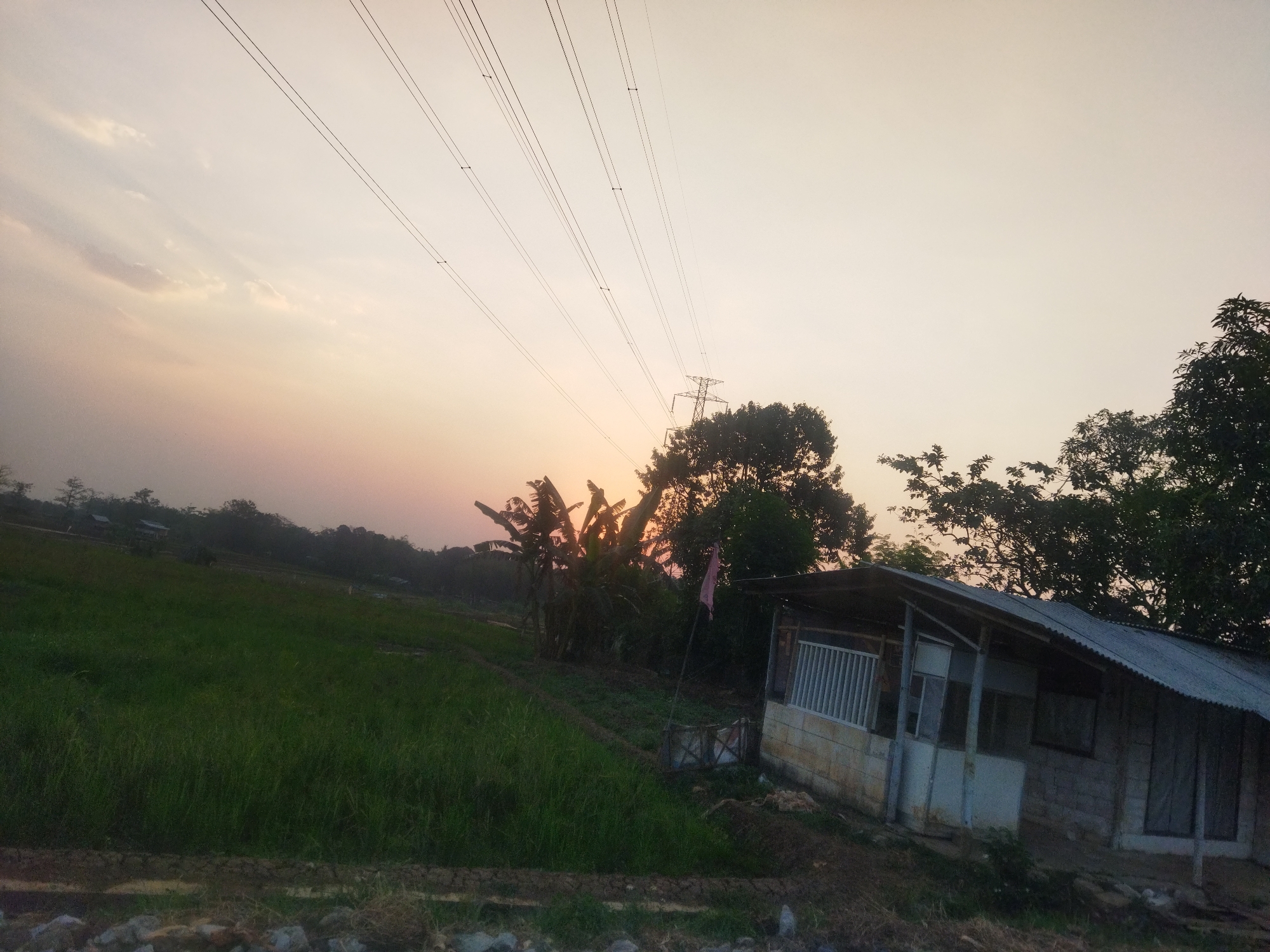 The image depicts an outdoor scene at sunset, possibly in a rural or semi-rural area of Semarang, Indonesia. The sky is a pale orange and yellow, with faint clouds. Several high-voltage power lines stretch across the frame, supported by distant towers. In the foreground, to the right, is a small, simple structure made of cinder blocks and corrugated metal roofing, appearing to be a shed or a basic dwelling. It has a porch with a white railing and at least two windows. To the left of the structure is a field of tall green grass or rice paddies, sloping slightly upward towards a line of trees and more distant structures. Banana trees are visible behind the structure. A small pink flag on a pole is planted in the ground between the structure and the field. The overall impression is one of a quiet, natural setting at the end of the day.