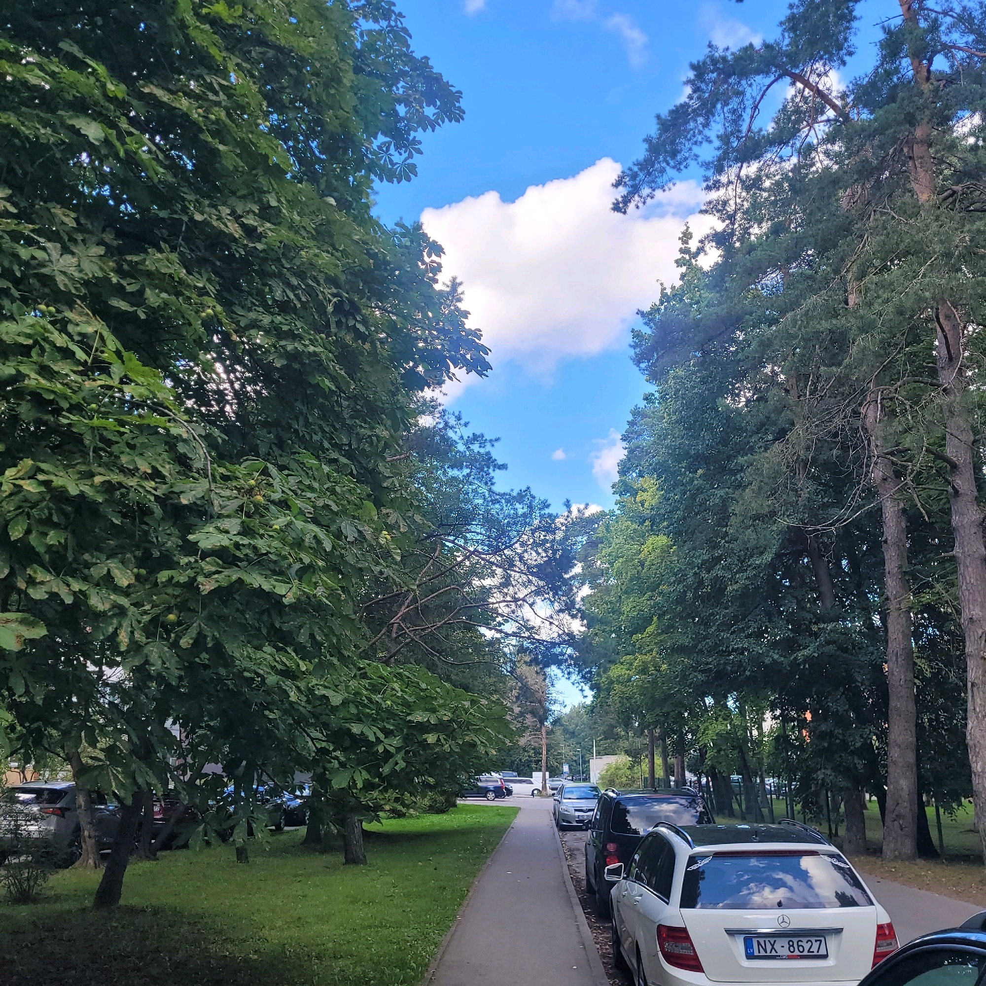 The image depicts a tree-lined street with a sidewalk and parked cars in Jūrmala, Latvia. The perspective is from the sidewalk, looking down the street. On the left, a large tree with dense green foliage dominates the foreground. On the right, a row of parked cars lines the sidewalk, with more trees behind them. The sky above is blue with scattered white clouds. In the background, more buildings and trees are visible. The license plate of a white car in the foreground is visible, reading "NX-8627". The environment appears to be a residential or park-like area within the city.
