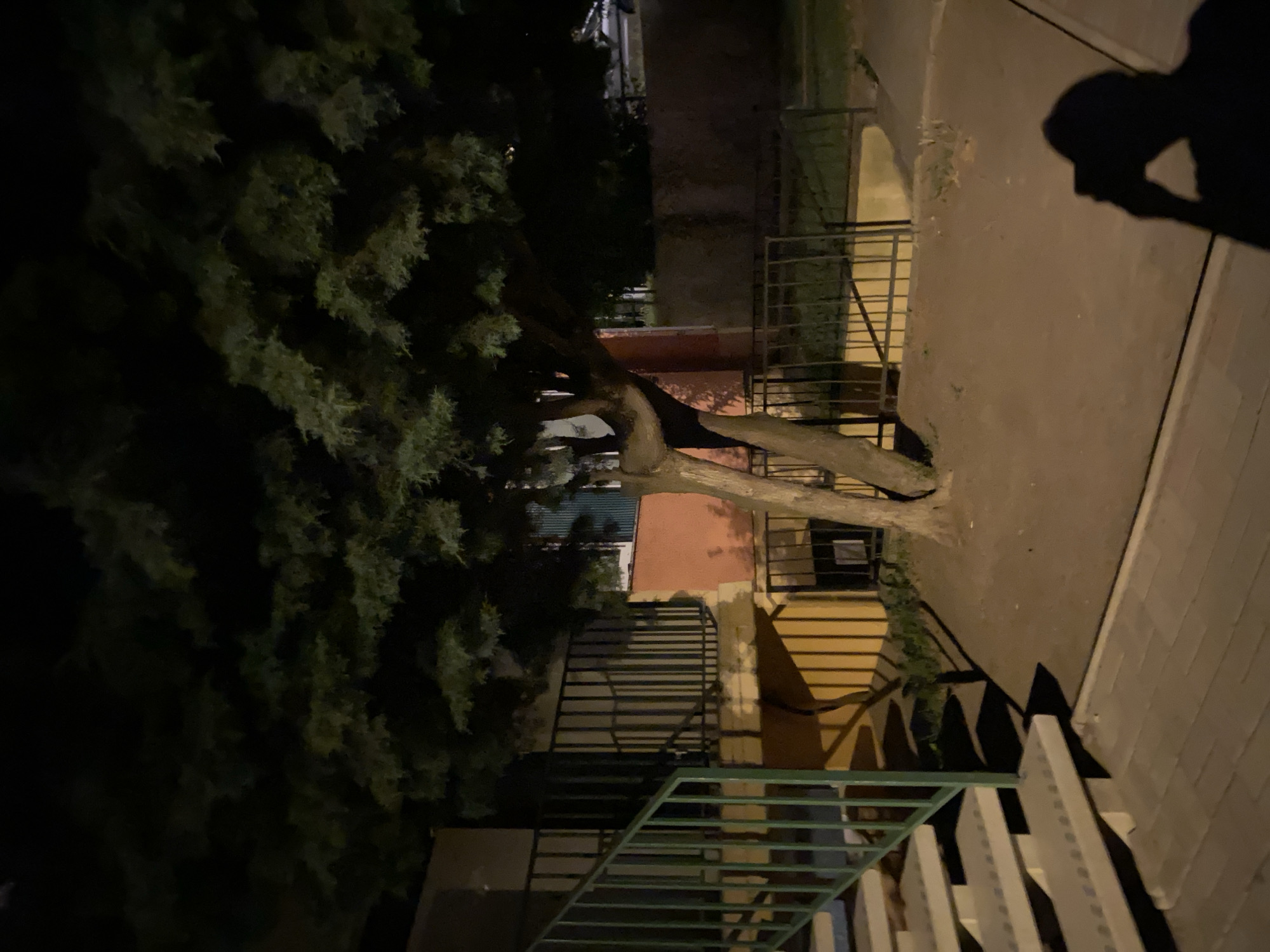 The image depicts an outdoor scene at night, illuminated by artificial lighting. In the foreground, a portion of a brick-like paved walkway is visible. To the left, an outdoor staircase with light-colored steps and a green railing leads upwards. Behind the staircase, a metal fence with vertical bars encloses an area. A large tree with dark green foliage dominates the midground, its trunk splitting into two distinct branches. The tree casts shadows on the ground. Behind the tree, the facade of a building is partially visible, featuring sections of reddish-orange and yellow paint. Further in the background, more fences and shadowy areas suggest other structures or landscaping. The shadow of a person holding a camera or phone is cast on the walkway in the lower right corner, indicating the photographer's presence. The overall impression is of a residential or public outdoor space in an urban setting, possibly an apartment complex, at night. The location is identified as Bílina, Czechia.