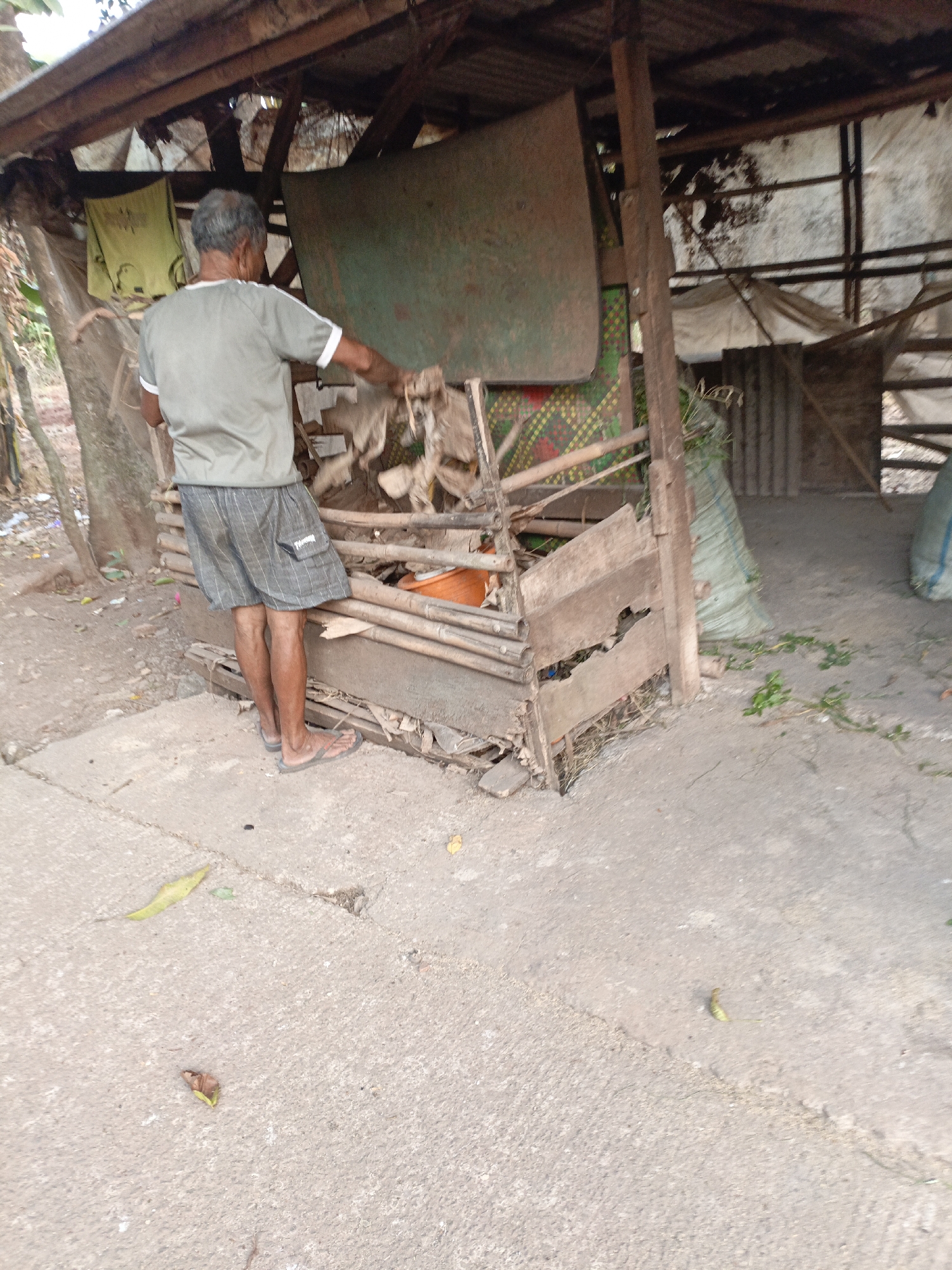 An elderly man with graying hair, wearing a light green t-shirt with white trim on the collar and sleeves and grey plaid shorts, stands facing away from the camera. He is tending to a makeshift wooden structure filled with what appears to be dried leaves and debris. The structure has a corrugated metal roof and is constructed from bamboo and weathered wood. Behind him, a yellow shirt hangs from a wooden pole. The ground is a mixture of dirt and concrete, with scattered leaves and some trash. In the background, a large green tarp-covered object or structure is visible. The overall environment suggests a rural or informal settlement setting.