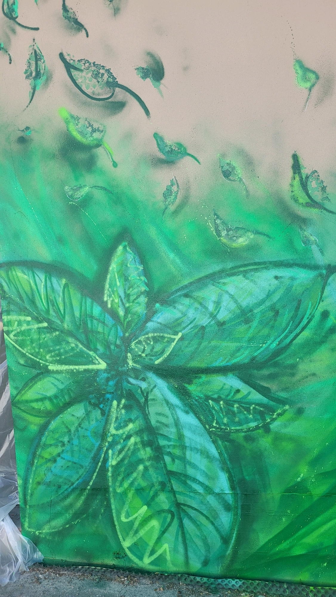 The image is a close-up, low-angle shot of a graffiti mural on a concrete wall. The mural depicts stylized green leaves and what appear to be other organic shapes, rendered in various shades of green, with some lighter green highlights. In the foreground, a large, central arrangement of leaves dominates the composition, with smaller, scattered leaf-like forms dispersed across the upper portion of the mural. The background wall is a neutral, light color, possibly beige or light gray. The graffiti style is characterized by spray-painted textures and outlines. The bottom edge of the mural is obscured by a plastic tarp and some gravel. The location of this mural in the city of Prešov, Slovakia, is unknown, as there are no identifying landmarks or context provided in the image itself.
