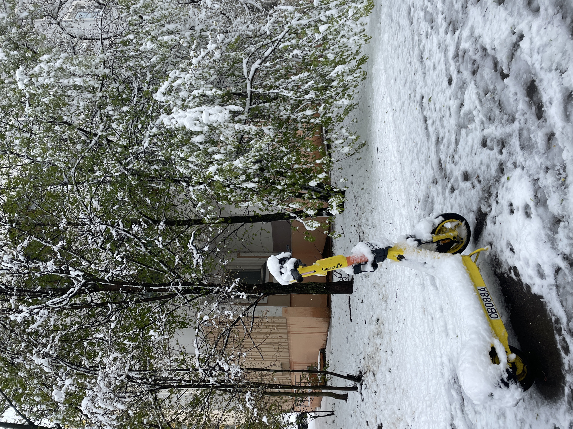 The image displays an outdoor scene under an unseasonal snowfall, likely in late spring given the presence of green leaves on the trees. The setting appears to be a sidewalk or park area within an urban environment, with a building visible in the background.
The main subjects are several trees, heavily coated with snow on their branches and bright green foliage, creating a stark contrast. The ground is blanketed in fresh, thick snow, showing some disturbed patterns from footsteps or melting. Dominating the foreground and center-right is a bright yellow electric scooter, largely covered in snow. It is identifiable by the Cyrillic text "Яндекс Go" (Yandex Go) on its handlebars and an alphanumeric identifier "0B088A" on its side.
The activity depicted is the aftermath of a snowfall, with everything frozen in place. No people are visible. The notable details include the heavy, unseasonal snow, clinging to fully leafed trees. The sky is overcast, indicating daytime. The scooter's branding points to a shared mobility service. The location context specifies Moscow, Russia, which aligns with the Yandex Go branding and the possibility of unseasonal snow events. The scene conveys a sense of unexpected and unusual weather.